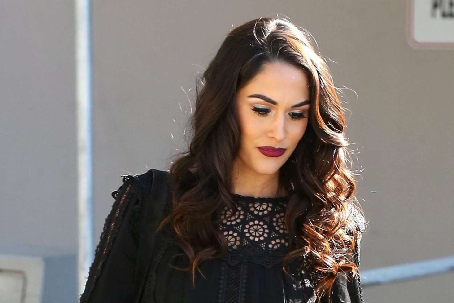 Bella Twins Computer Wallpapers - Wallpaper Cave