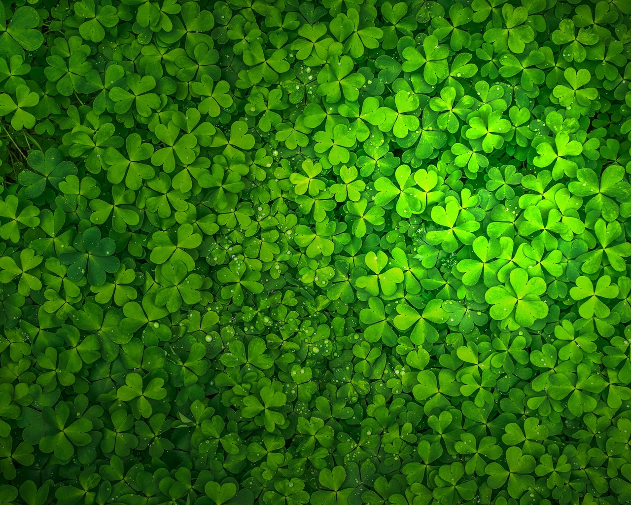 St Patrick's Day 1280 x 1024 Wallpaper