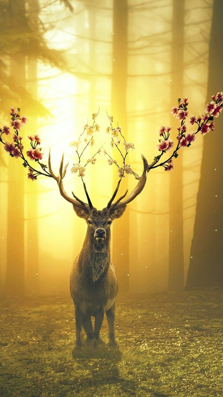 Beautiful. Deer wallpaper, Spring wallpaper, Deer art