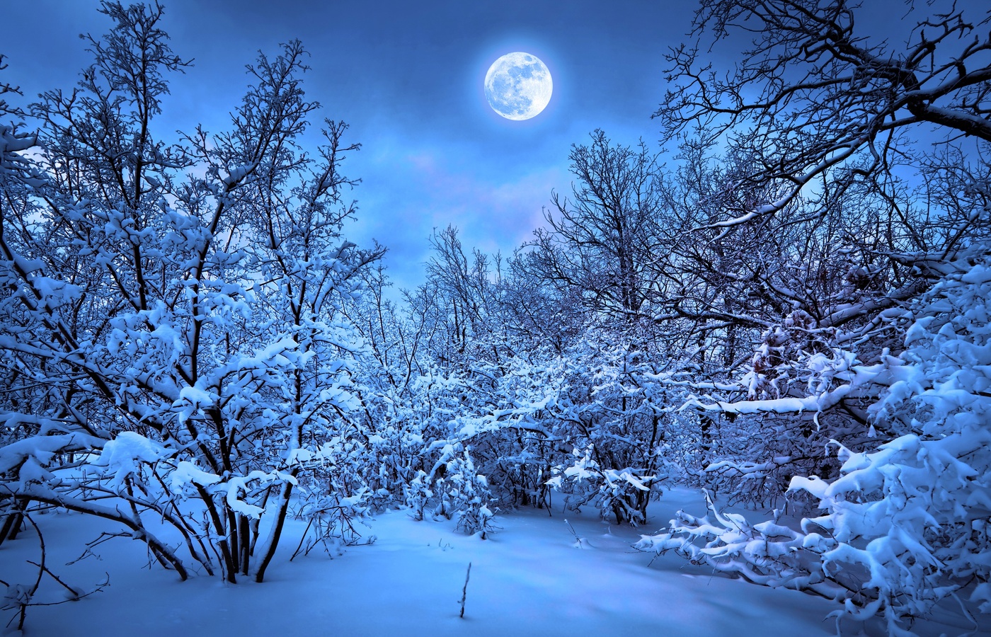 Winter Snow Nature 4k 1400x900 Resolution HD 4k Wallpaper, Image, Background, Photo and Picture
