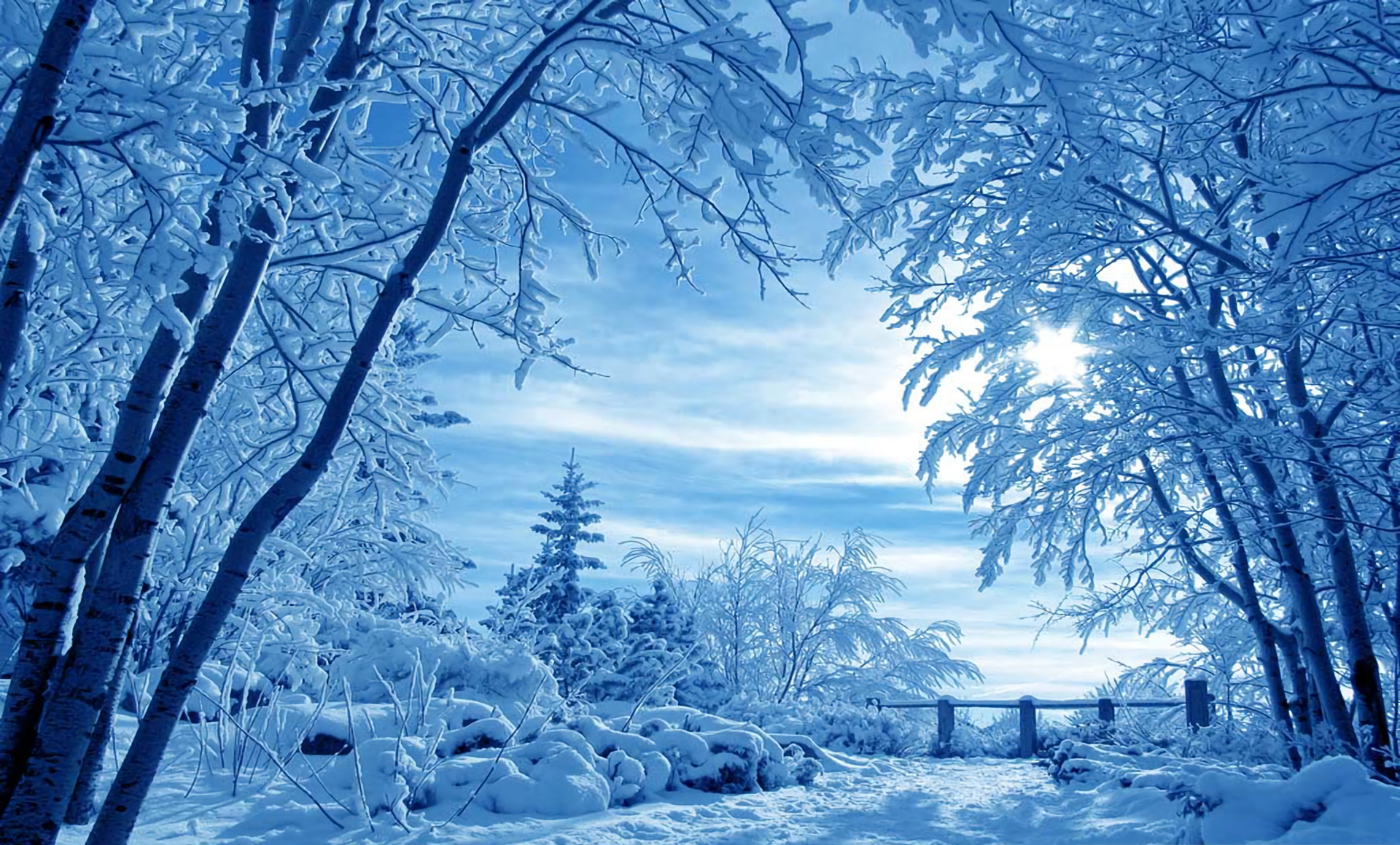 Beautiful Winter Landscape HD Wallpaper
