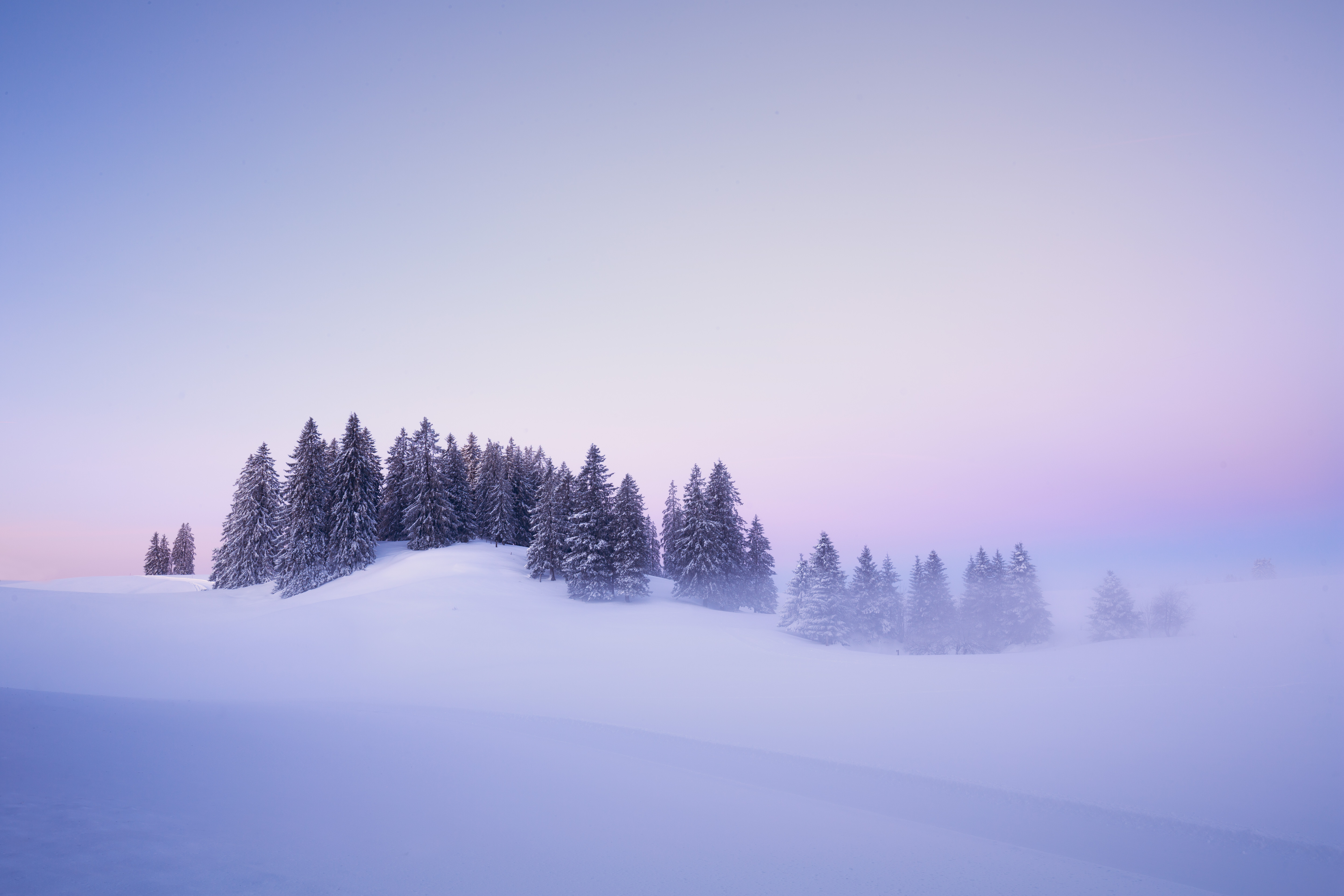 Winter Wallpaper 4K, Snow covered, Foggy, Trees, Landscape, Blue hour, Nature