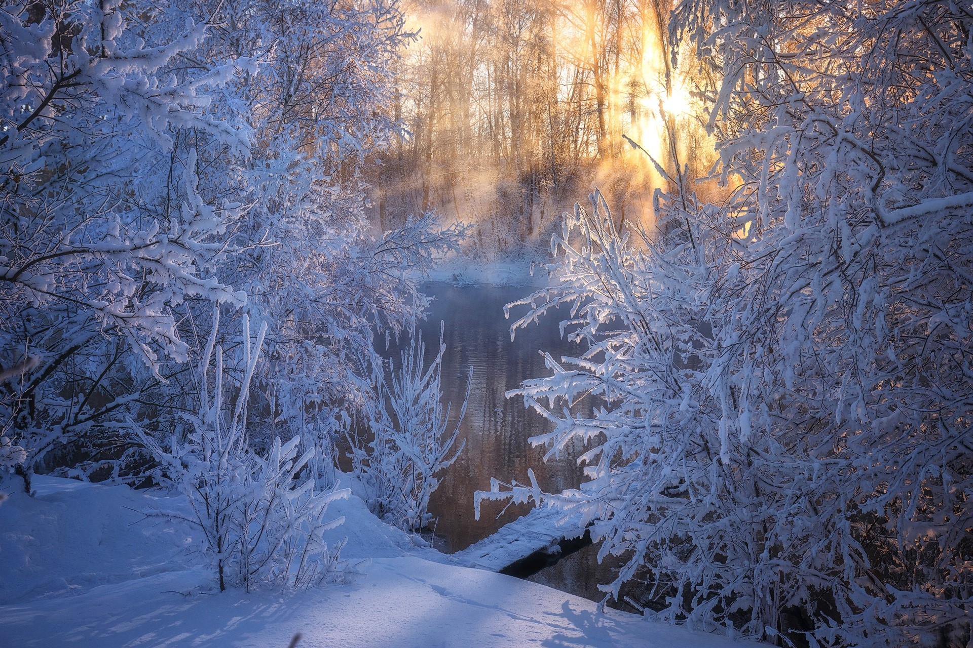 cold, nature, winter, ice, snow HD Wallpaper