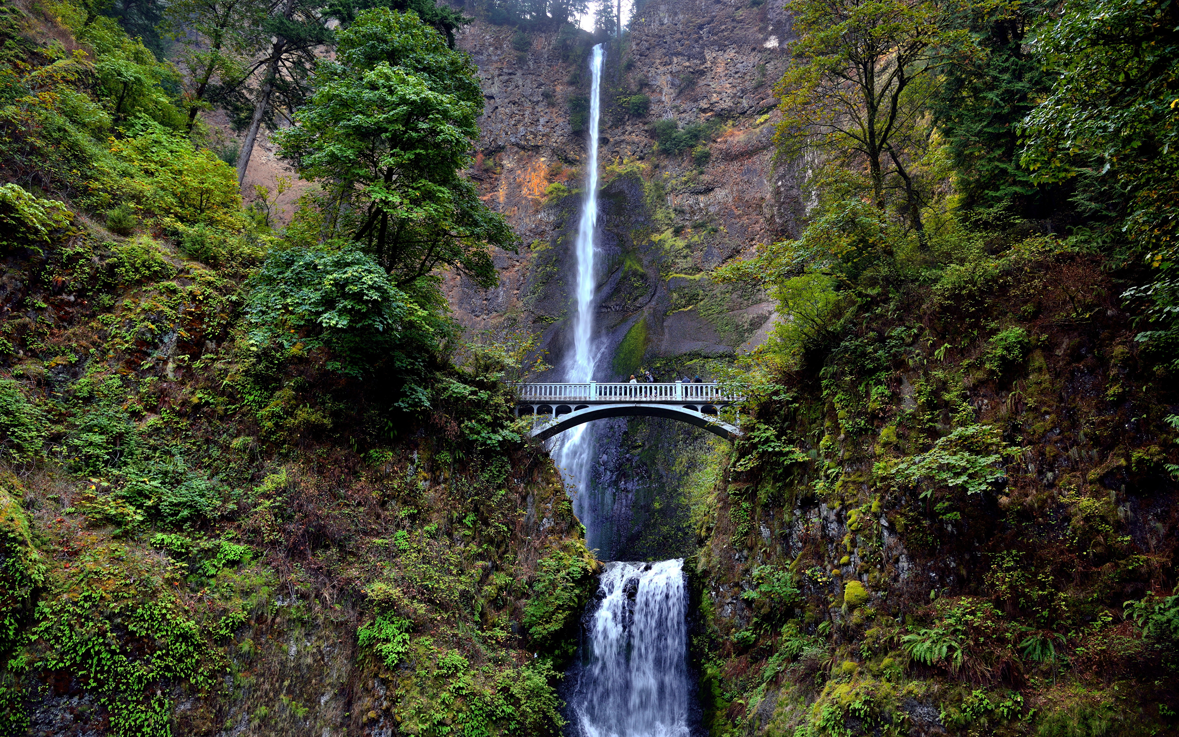 image USA Multnomah Falls Columbia River Oregon Rock 3840x2400