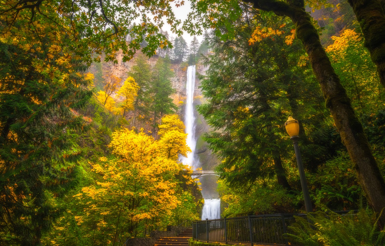 Multnomah Falls Wallpapers - Wallpaper Cave