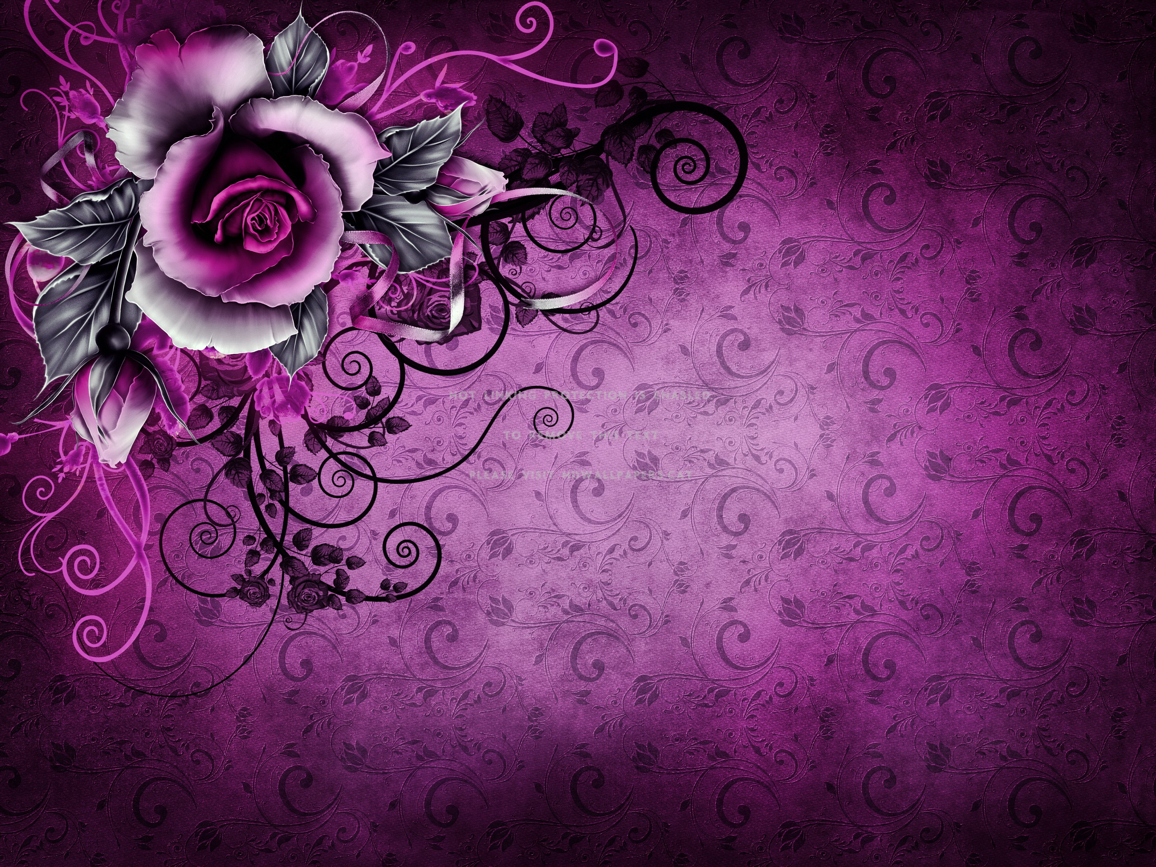 vintage rose background purple grunge