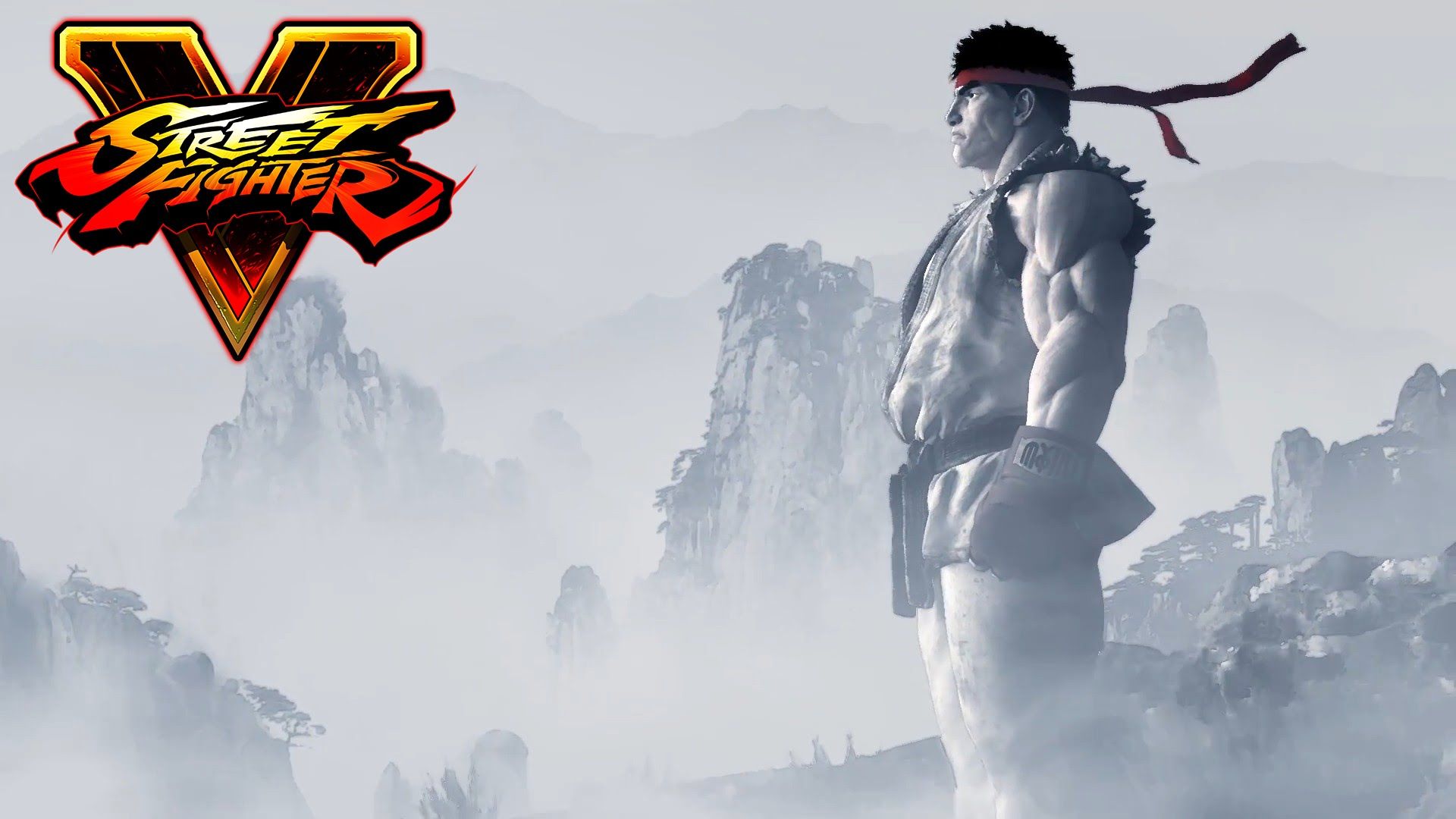 Street Fighter V Wallpaper