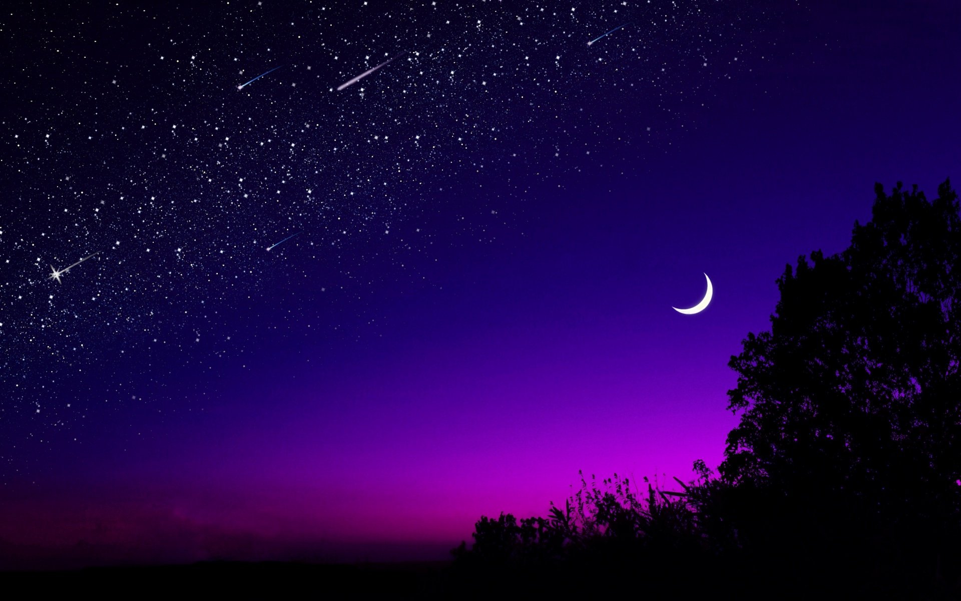 Download Dark Purple Aesthetic Night Moon Wallpaper