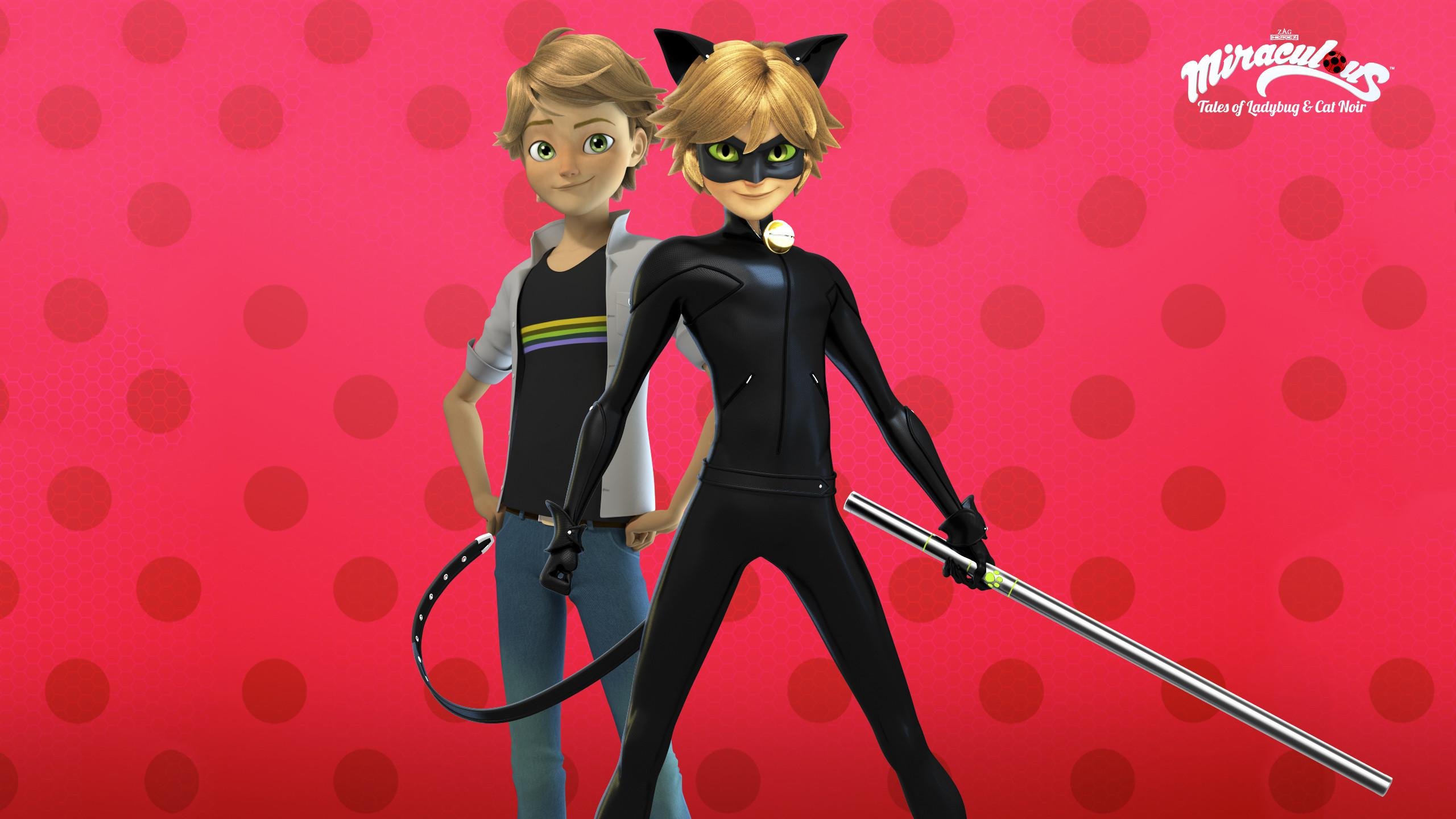 Miraculous Tales of Ladybug And Cat Noir Wallpaper HD 83511