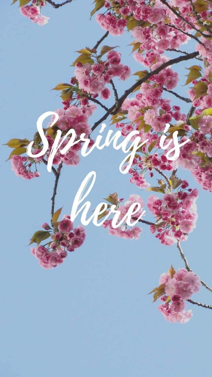 Spring Colors Wallpaper