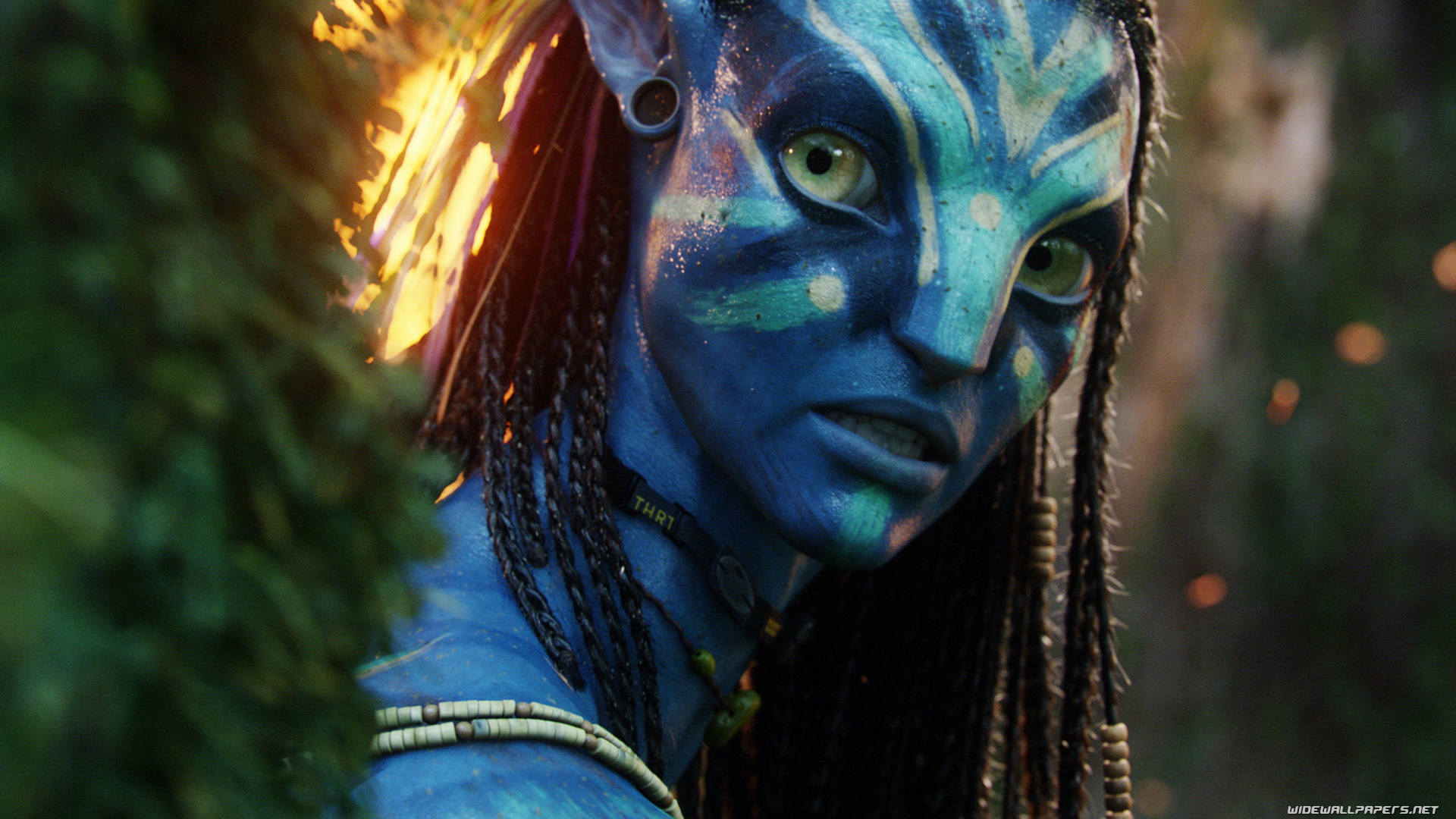 Avatar movie desktop wallpaper HD and wide wallpaper