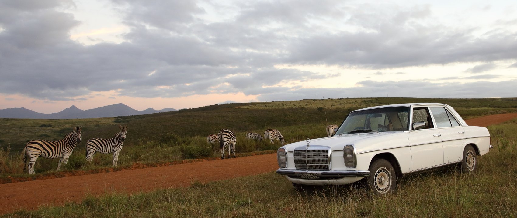 With The Mercedes Benz Stroke Eight In South Africa