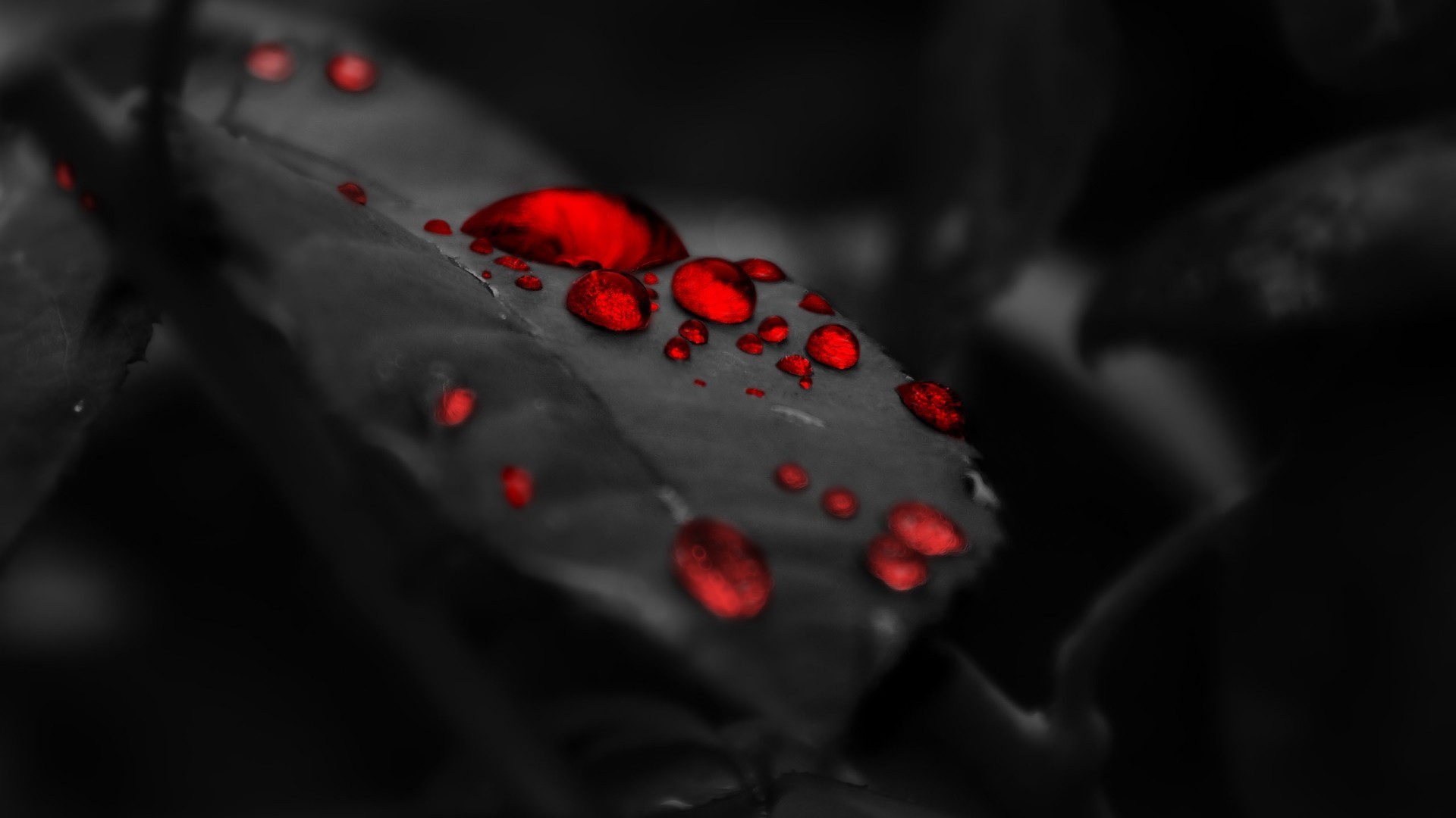 Black and Red Wallpaper HD background picture