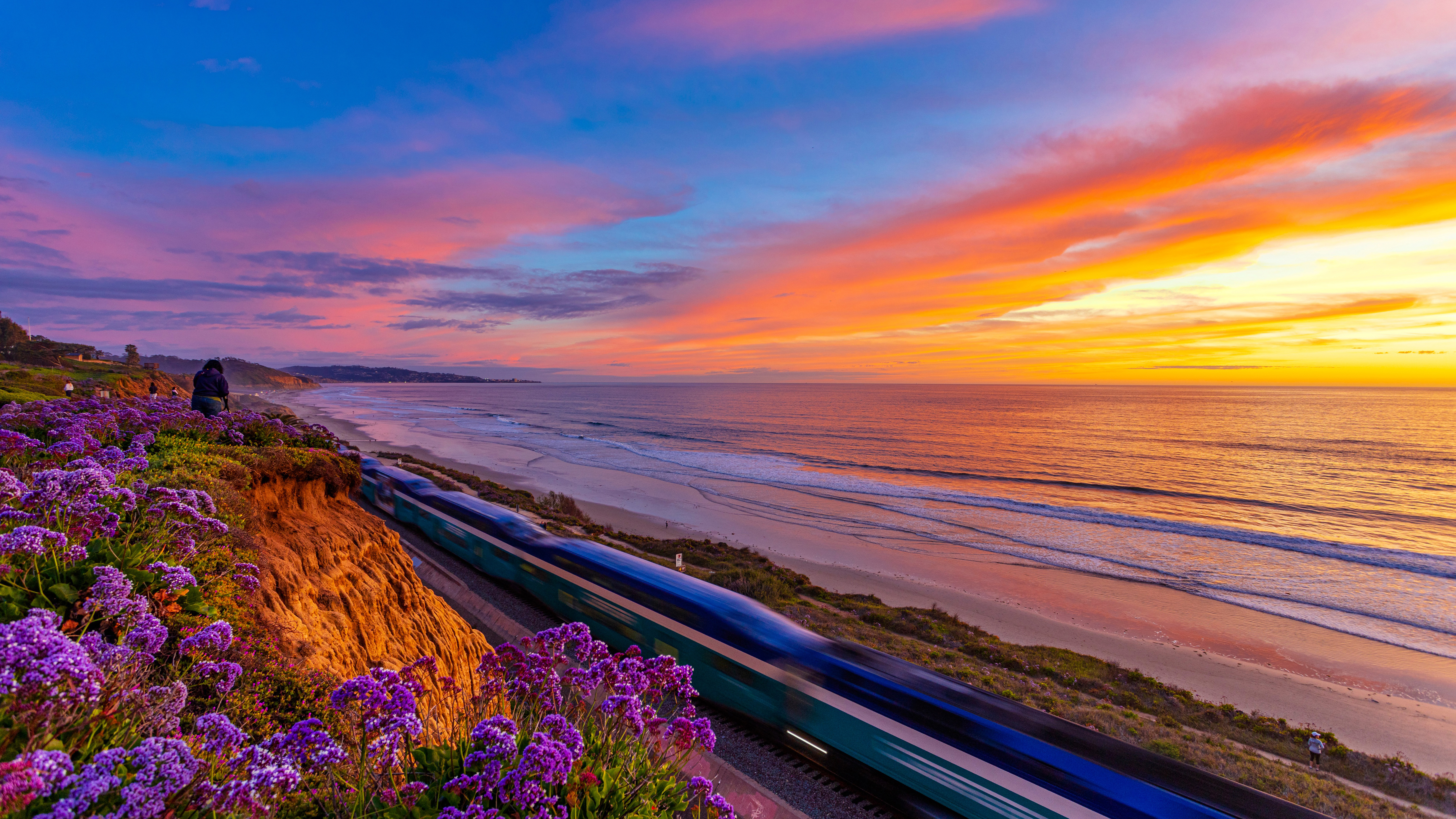 Train Between California Coast Pacific Ocean And Flowers During Sunset 4K 5K HD Nature Wallpaper