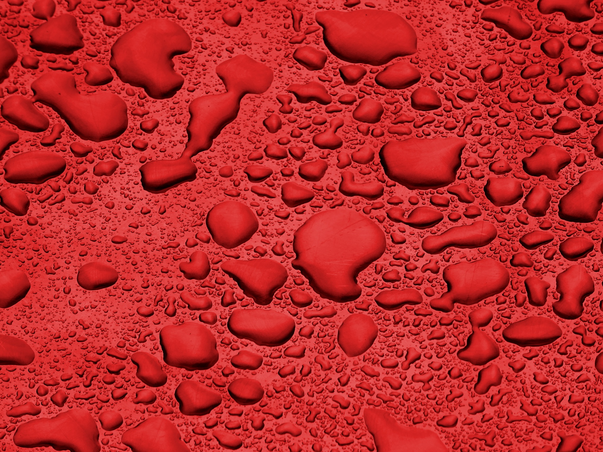 Red, rainfall, rain, liquid, liquids