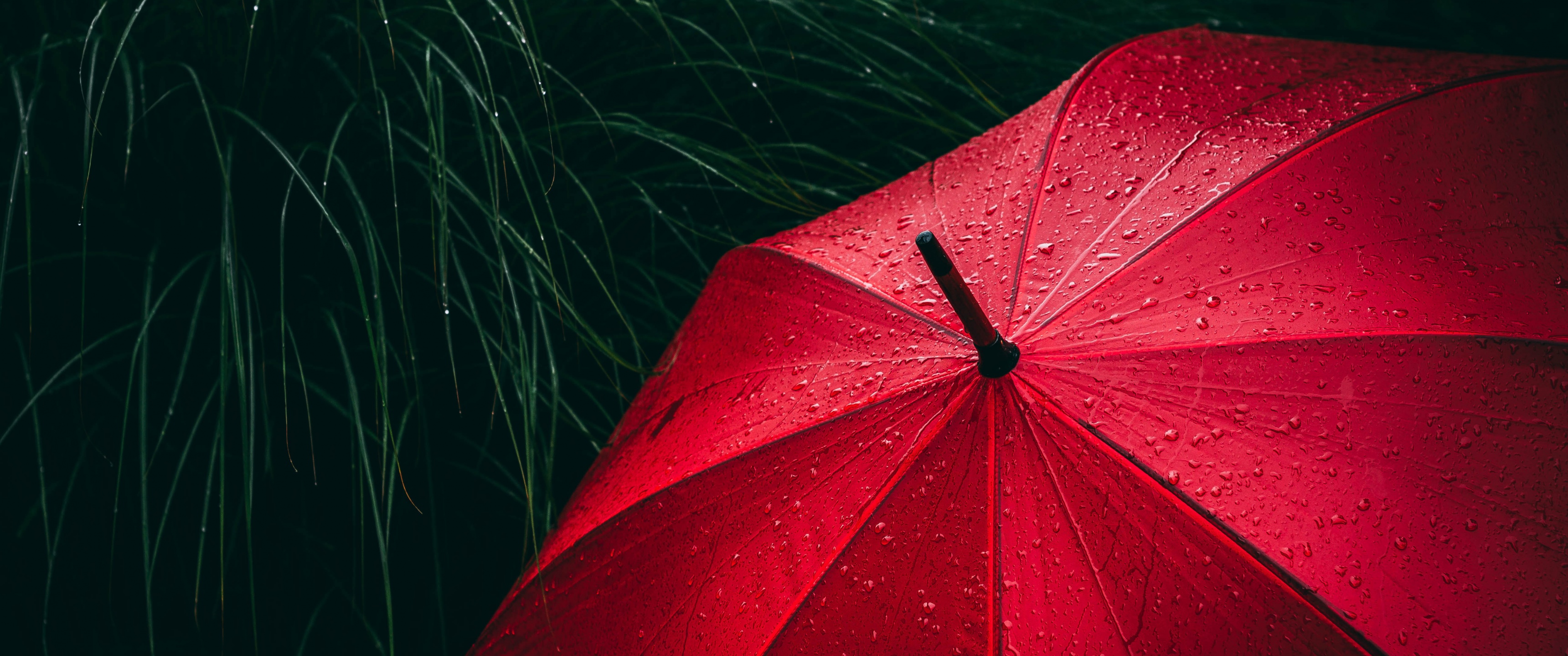 Umbrella Wallpaper 4K, Red, Rain droplets, Rainy day, 5K, Photography