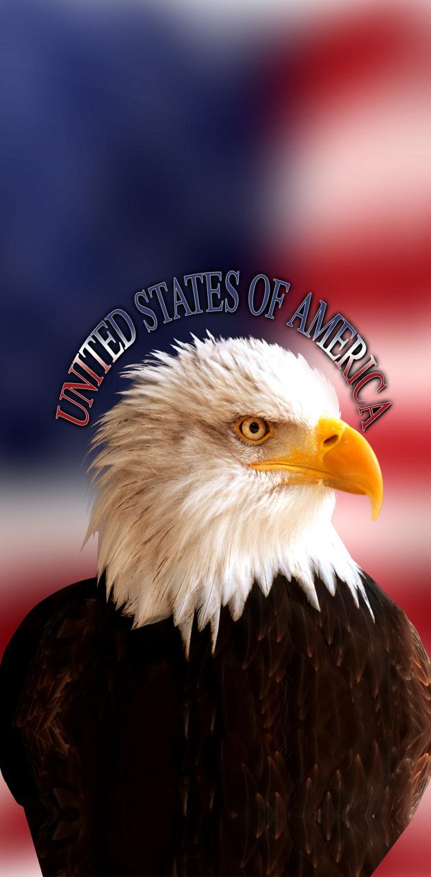 USA Eagle wallpaper