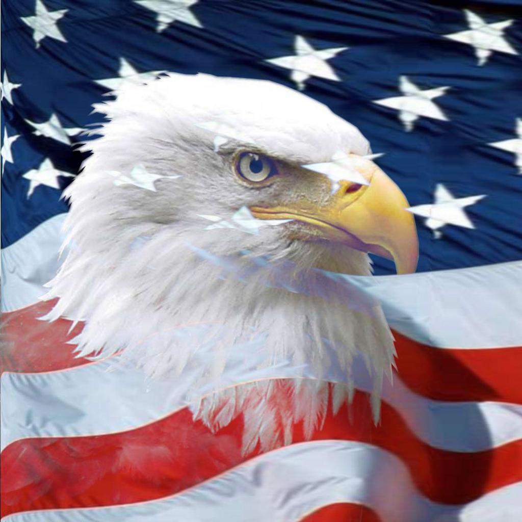 American Eagle Wallpaper, HD American Eagle Background on WallpaperBat