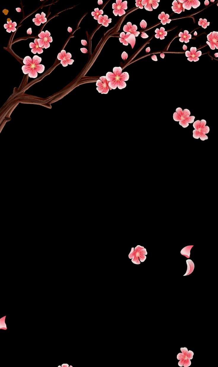 Black Sakura Wallpapers - Wallpaper Cave