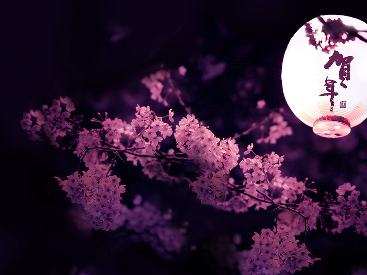 Black Sakura Wallpapers - Wallpaper Cave