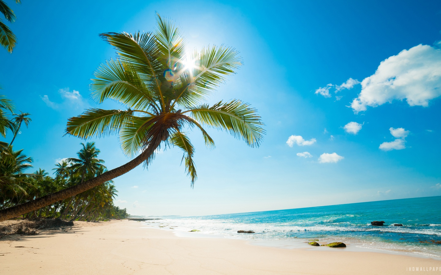 Free download Caribbean Beach HD Wallpaper iHD Wallpaper [1600x900] for your Desktop, Mobile & Tablet. Explore Caribbean Beach Wallpaper Free. Tropical Beaches Wallpaper, Island Wallpaper, Tropical Wallpaper Desktop