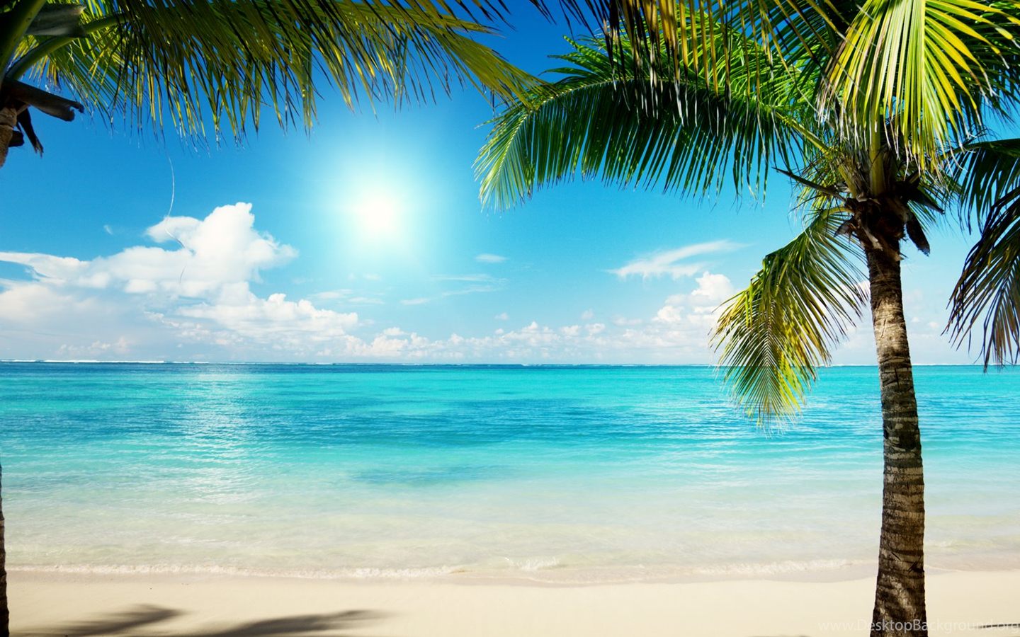 Caribbean Beach Wallpaper Theme Desktop Background