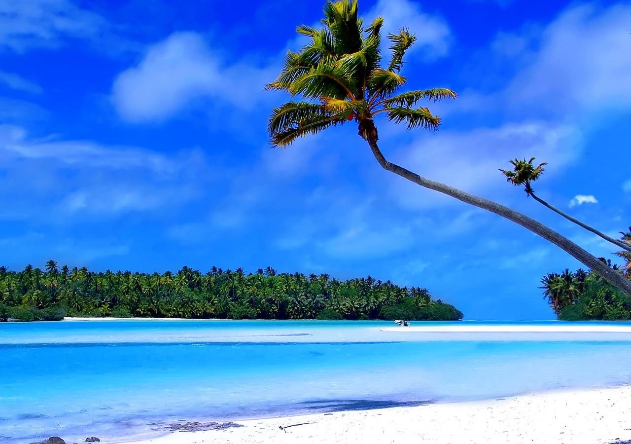 Free Caribbean Beach Wallpaper Desktop Background
