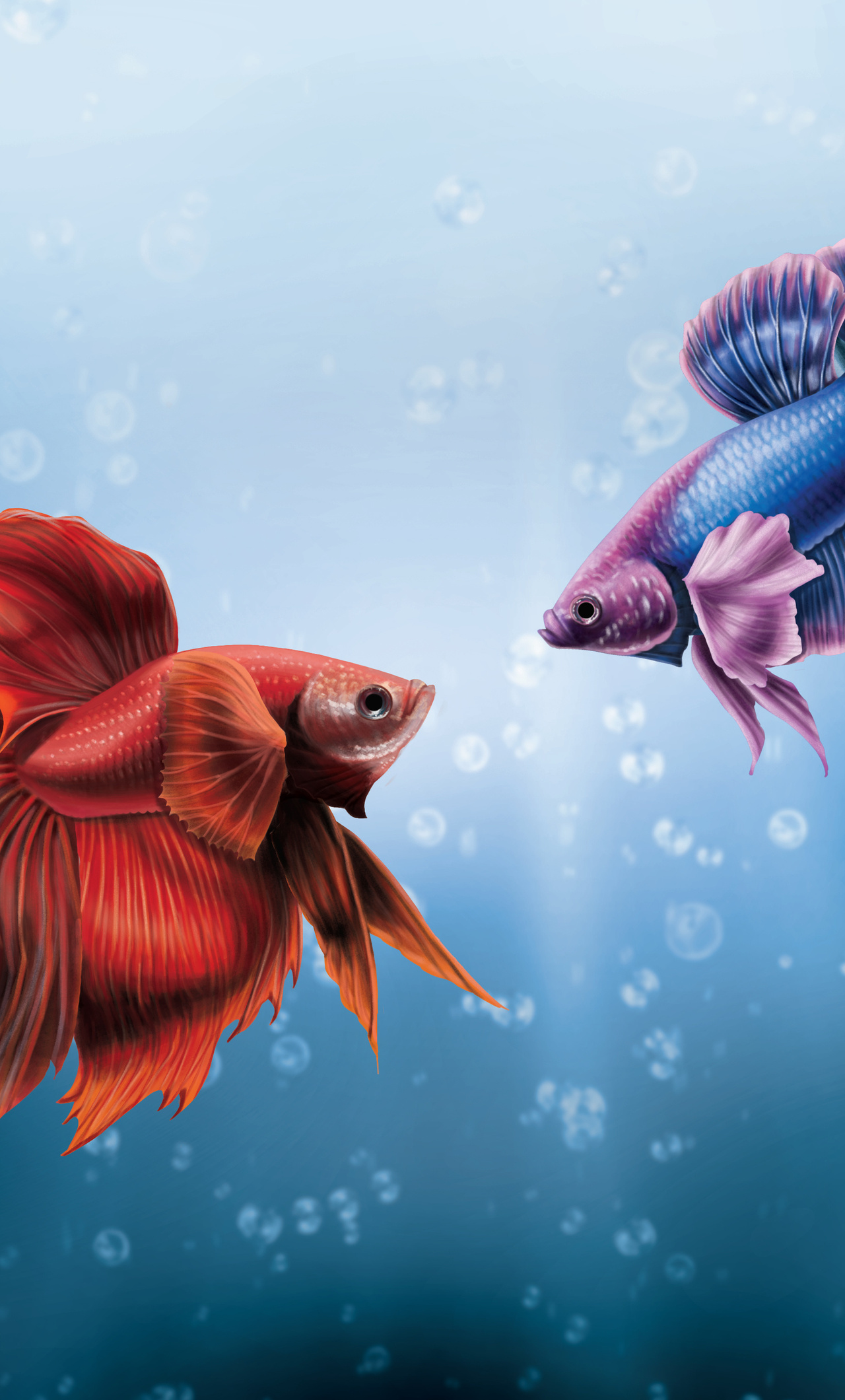 Him And I Betta Fish iPhone HD 4k Wallpaper, Image, Background, Photo and Picture