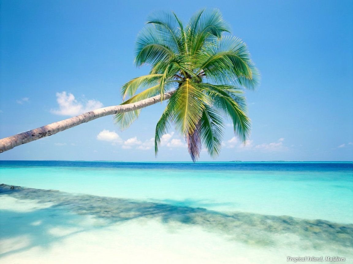 Cool Caribbean Beach Wallpaper Desktop Background