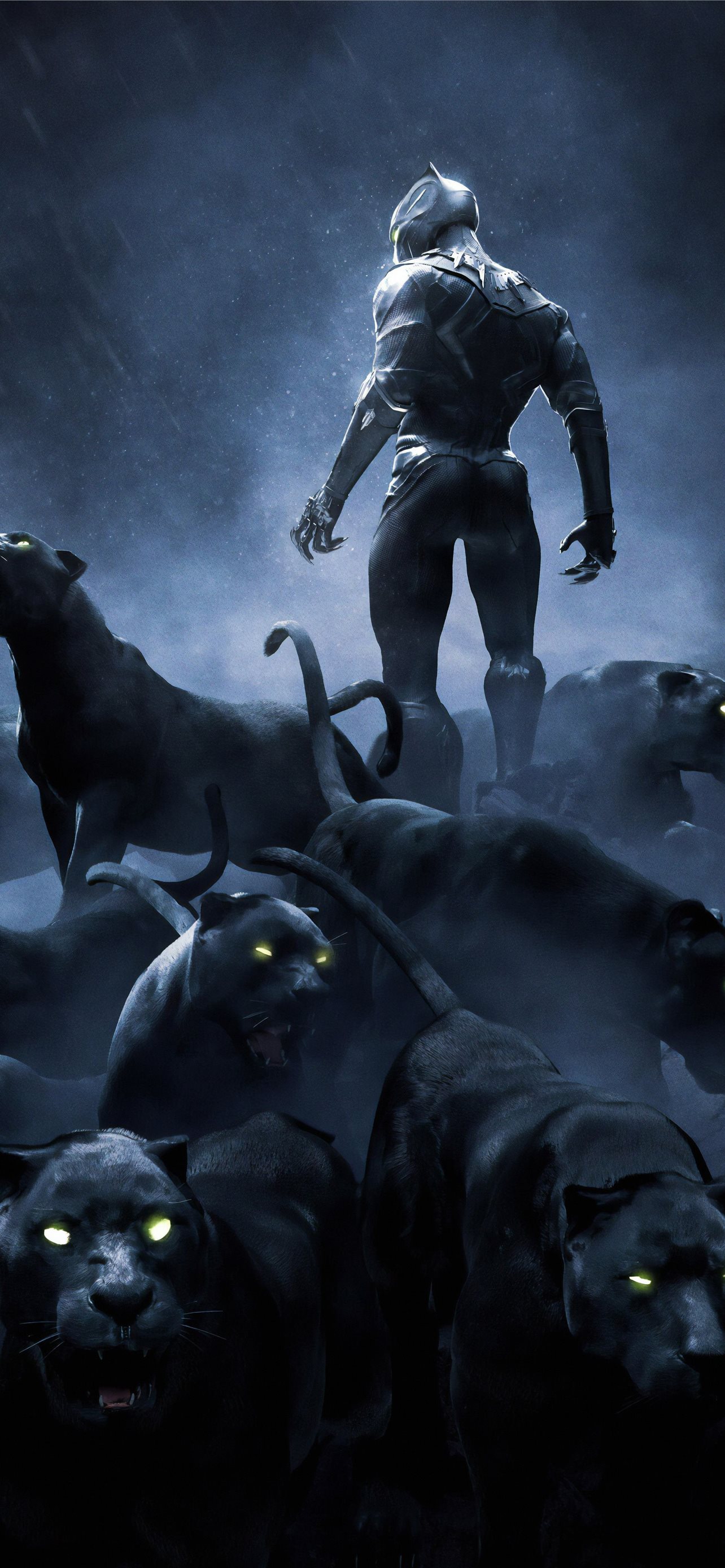 Black Panther Rise Up 4k In Resolution iPhone Wallpaper Free Download