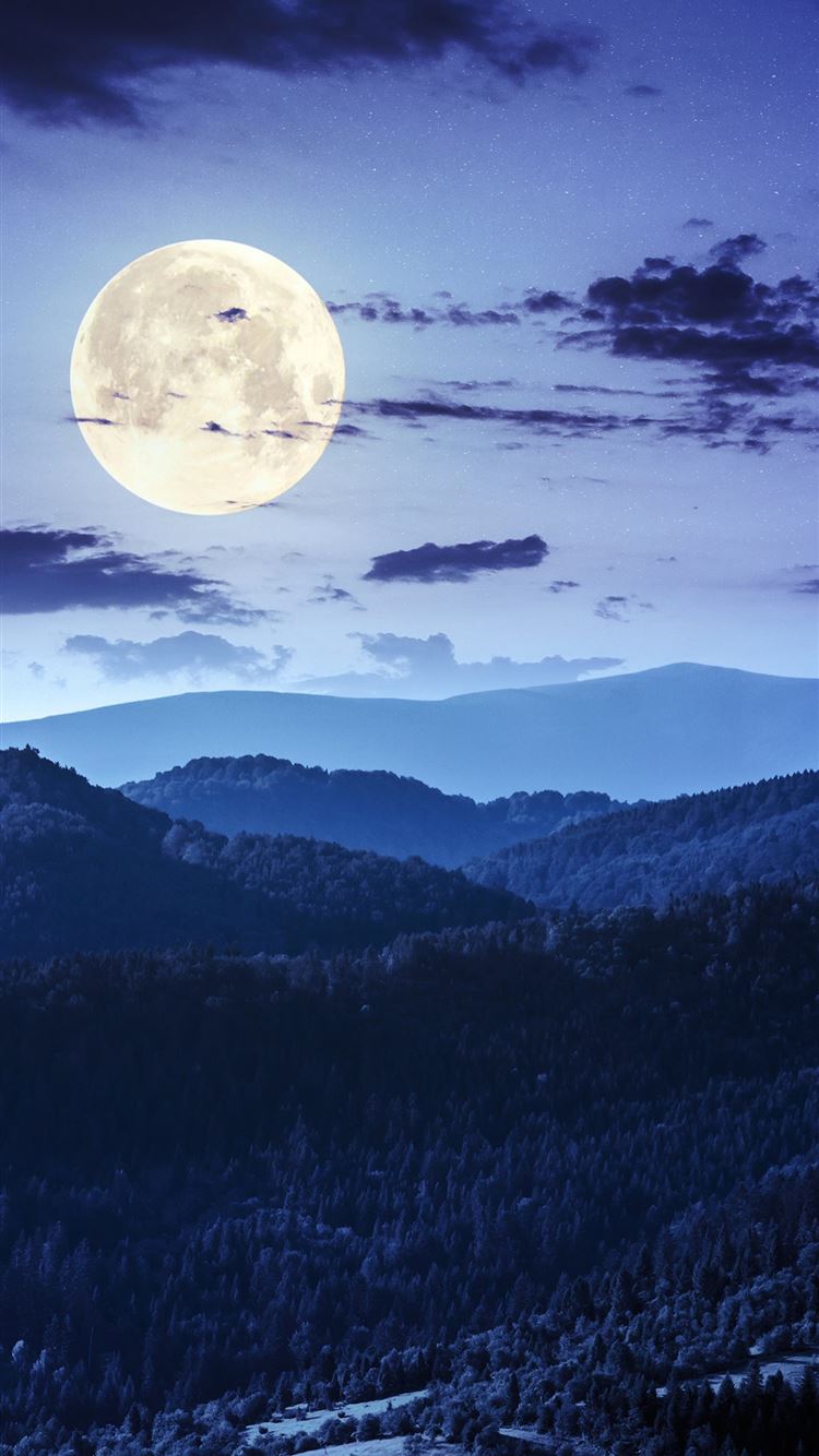 forest night moon clouds 4k iPhone 8 Wallpaper Free Download
