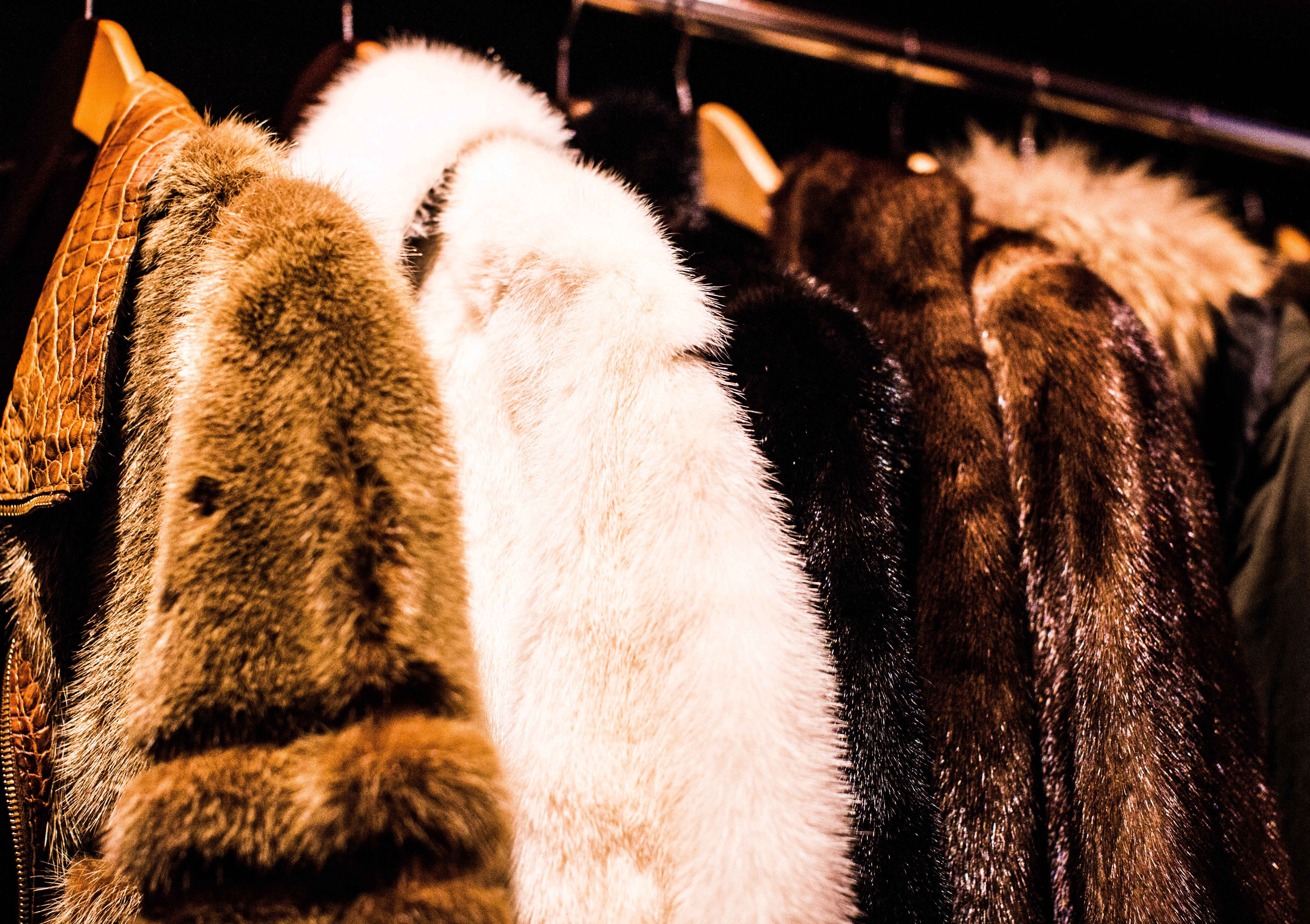 Fur Coat Wallpaper