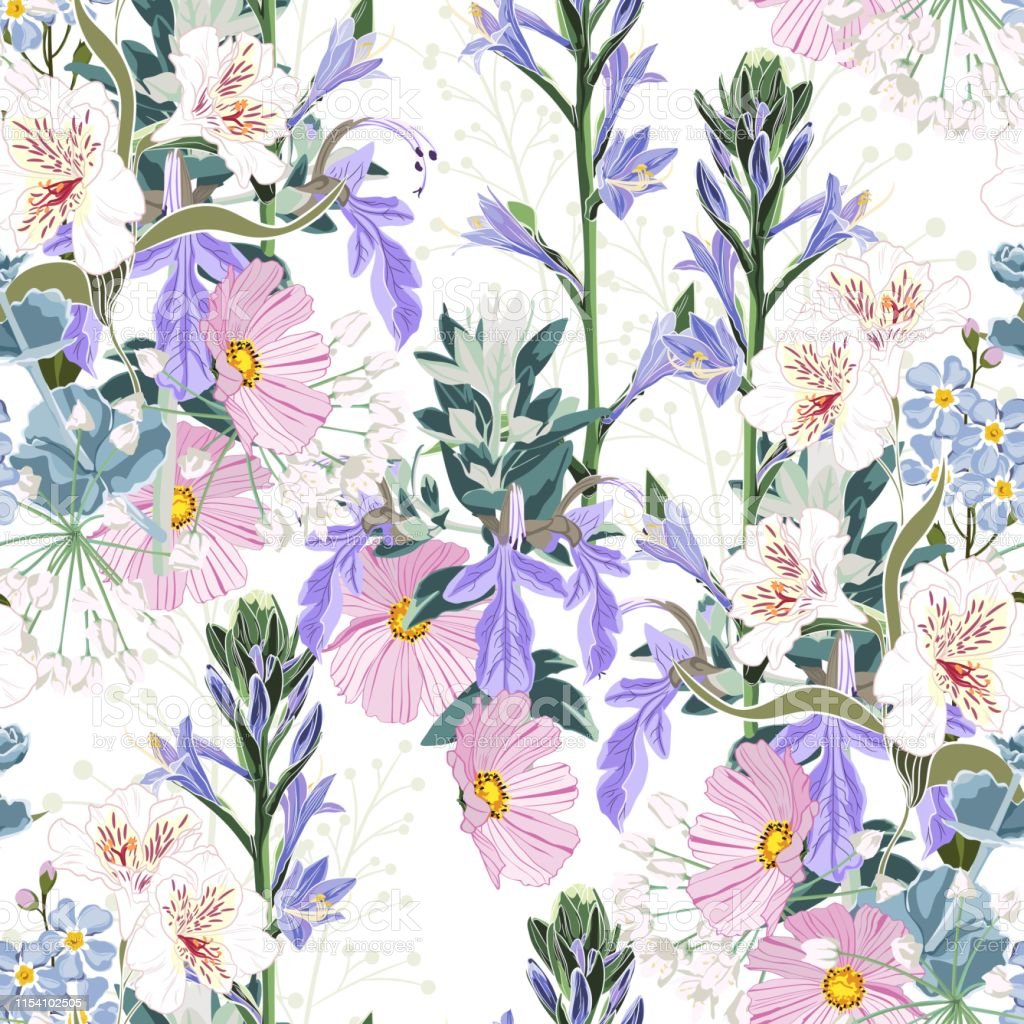 Beautiful Seamless Spring Pattern With Wild Flowers Vintage Background Wallpaper Or Print For Textile Drawing Engraving White Background Stock Illustration Image Now