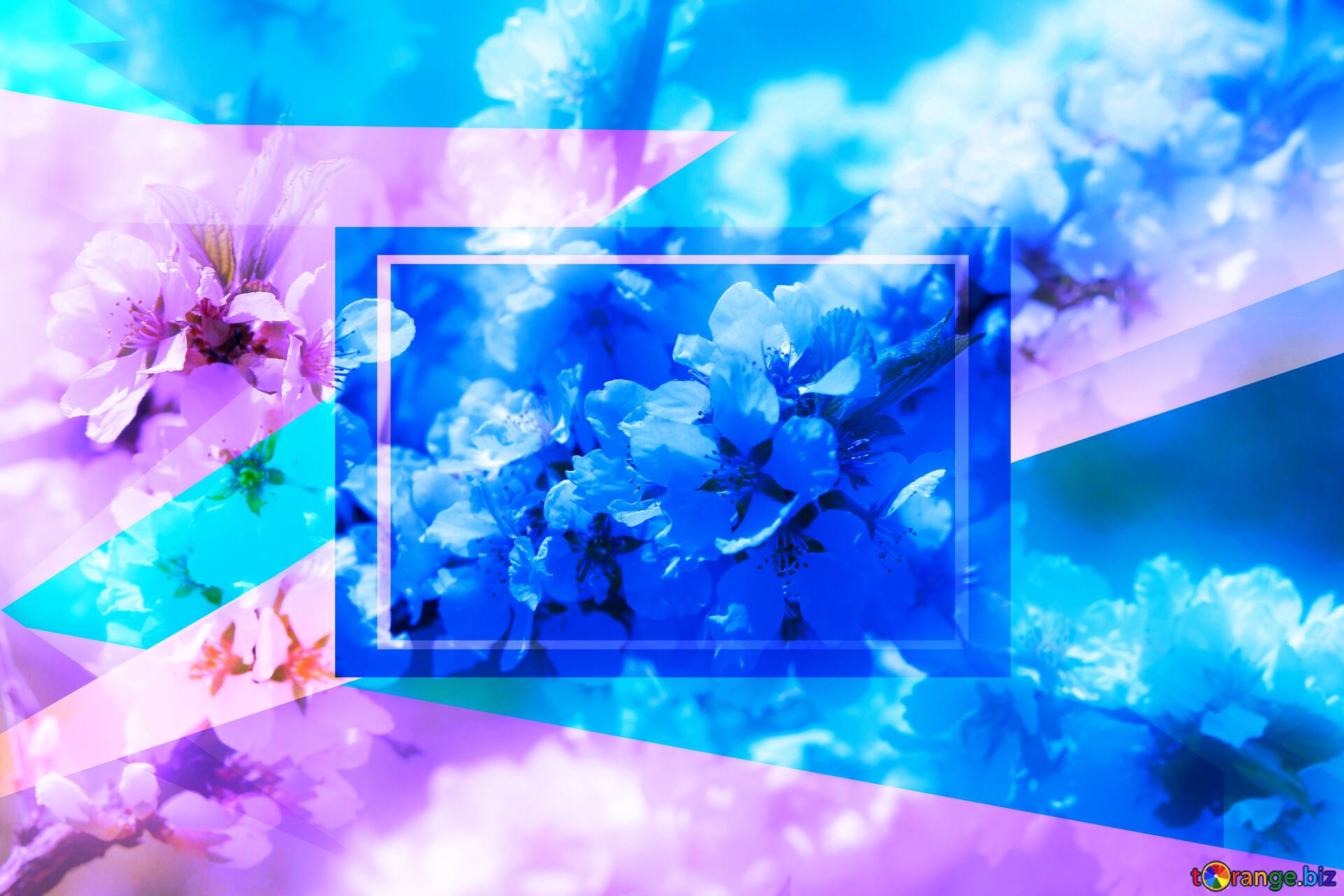 Spring Geometric Wallpapers - Wallpaper Cave