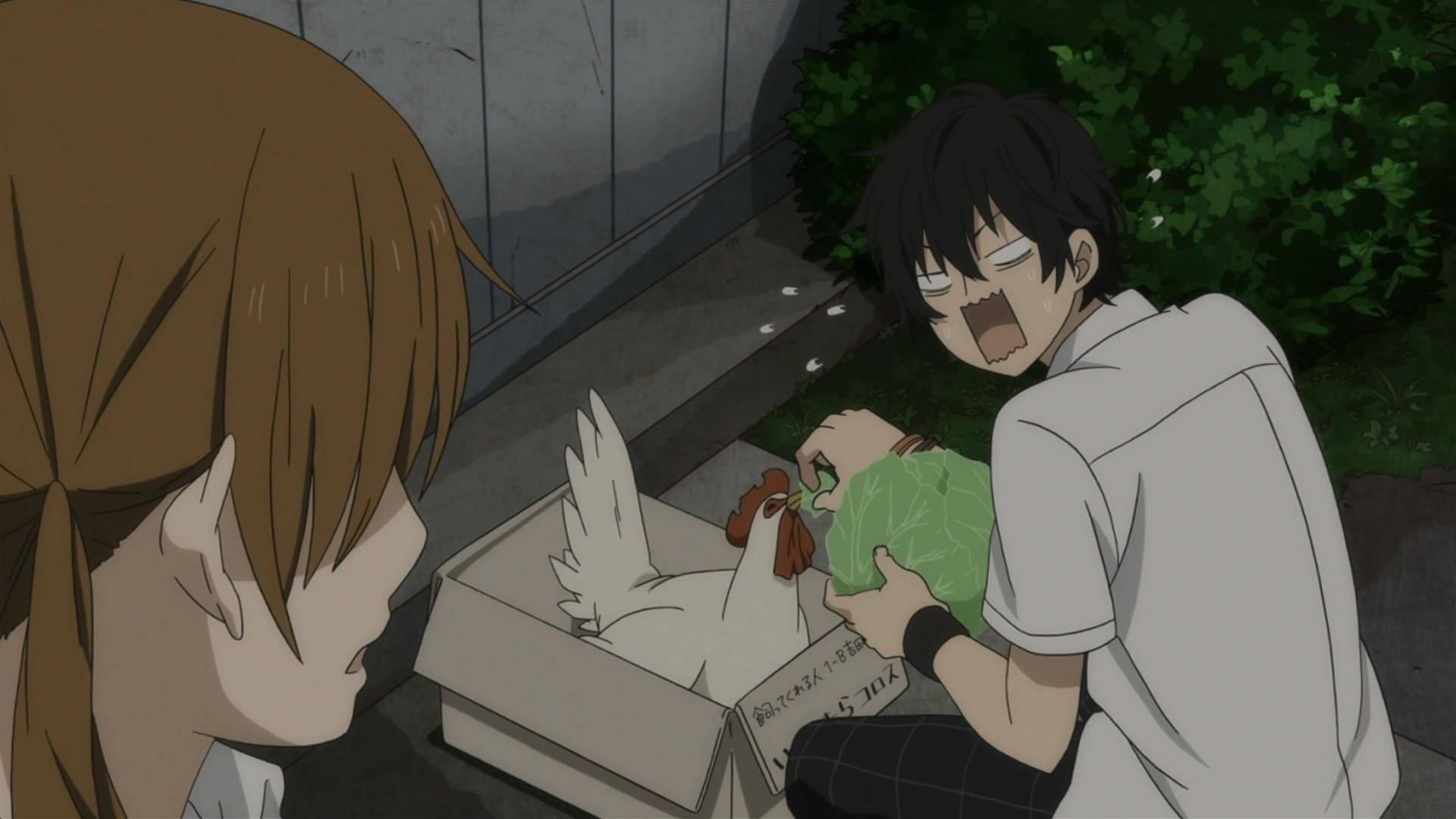 My Little Monster HD Wallpaper