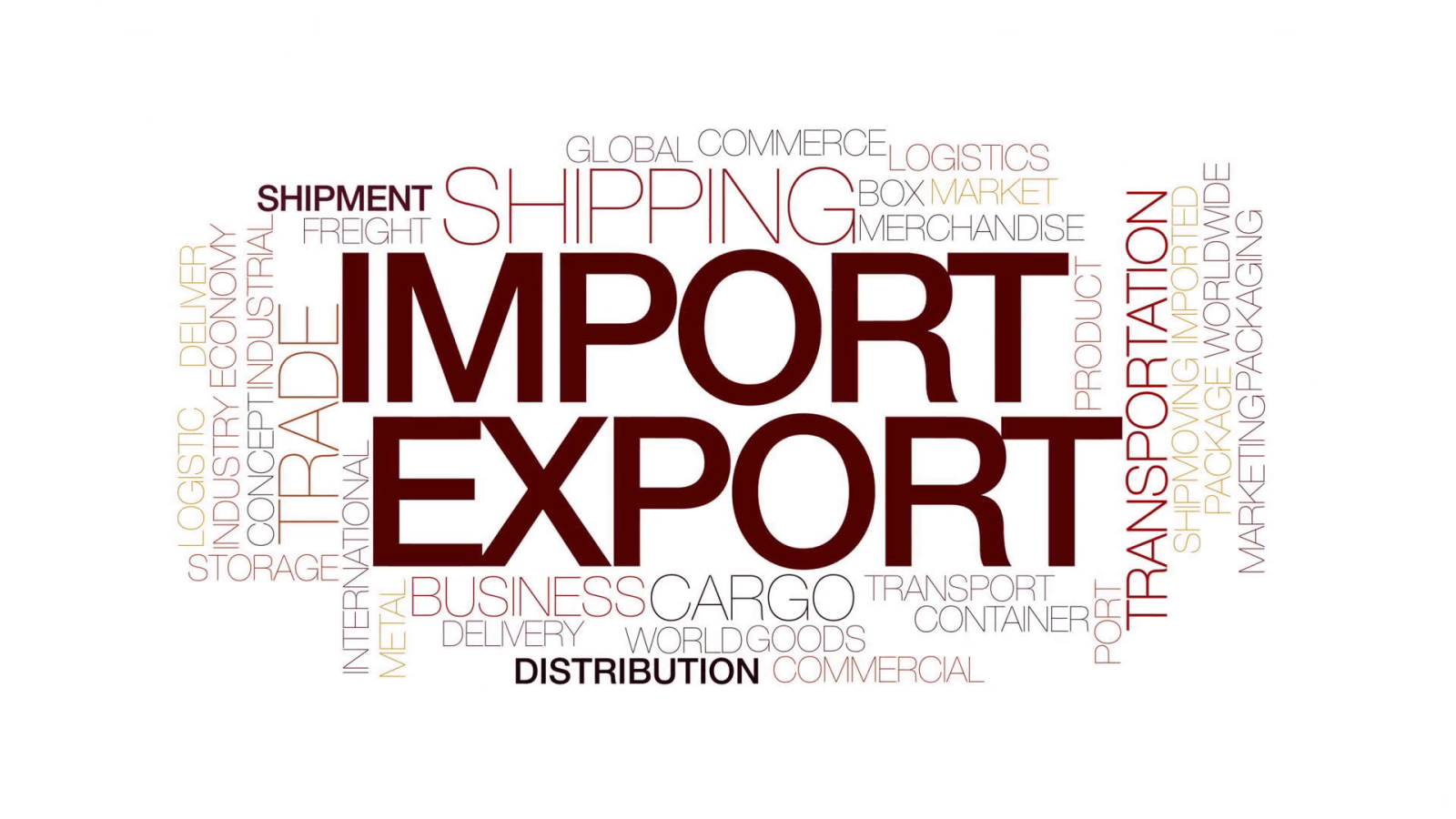 Import Export Business Traders in Chhattisgarh