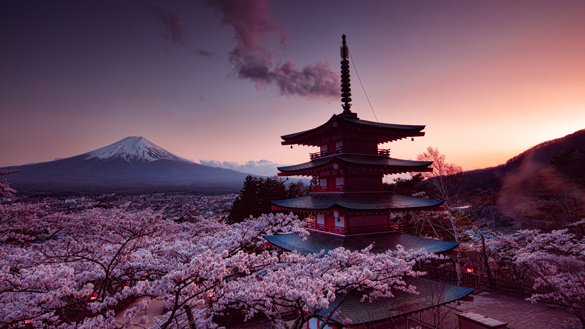 Japan Cherry Blossom HD Wallpaper
