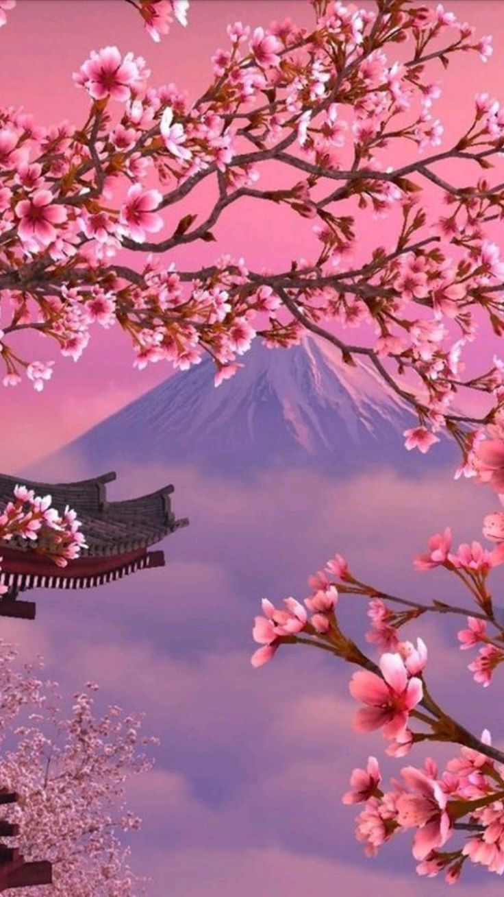 Sign in. Cherry blossom wallpaper, Scenery wallpaper, Cherry blossom japan