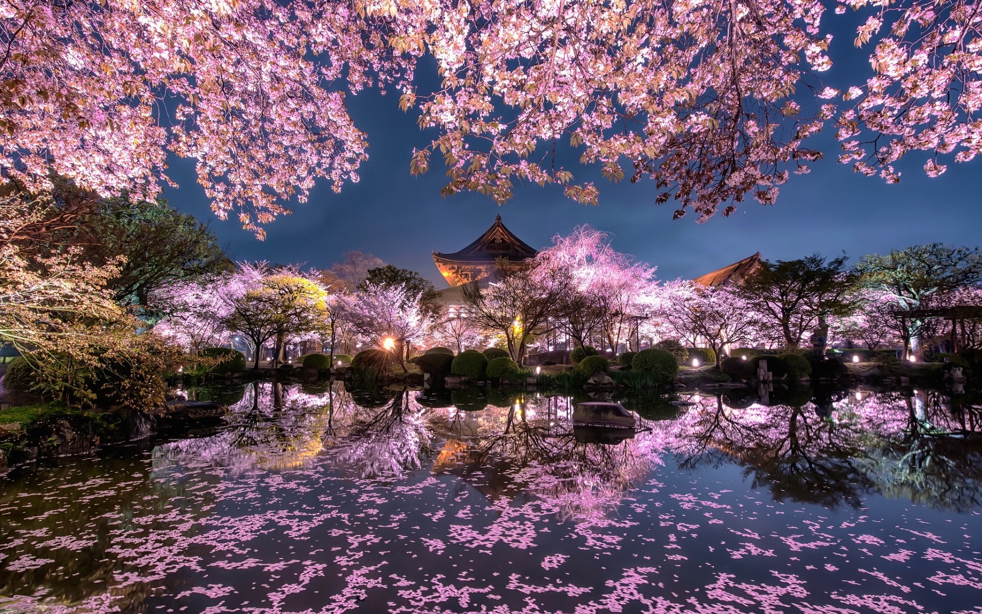 Download wallpaper cherry blossom, evening, Japanese temple, spring, pond, sakura, night, lights, Japan, spring garden, Japanese architecture for desktop with resolution 1920x1200. High Quality HD picture wallpaper