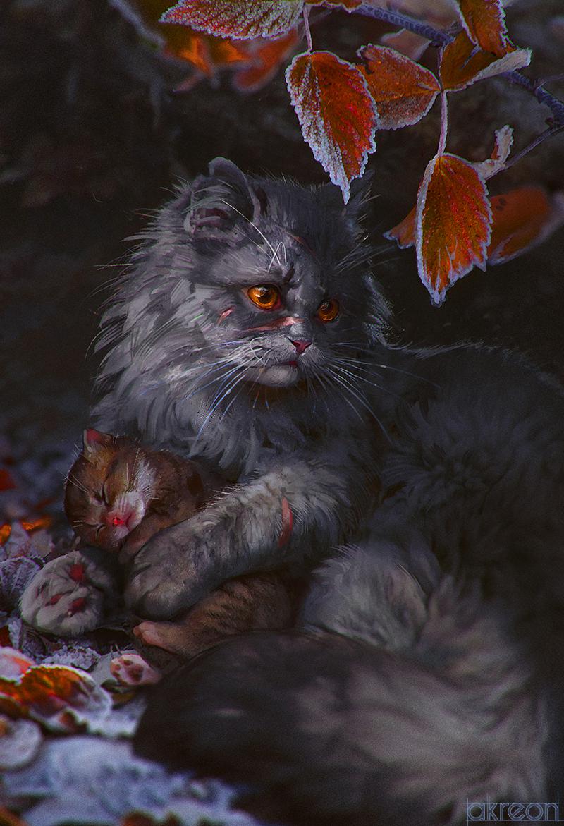 Brokenkit! Polish super edition cover