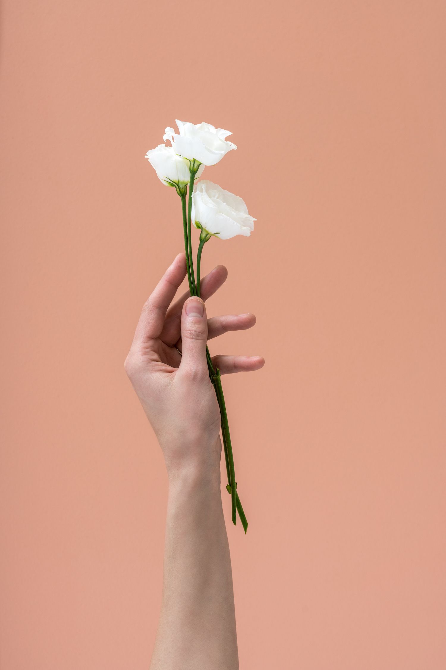 FILD Colour Mood in Coral. Hand reference, Flower aesthetic, Hand photography