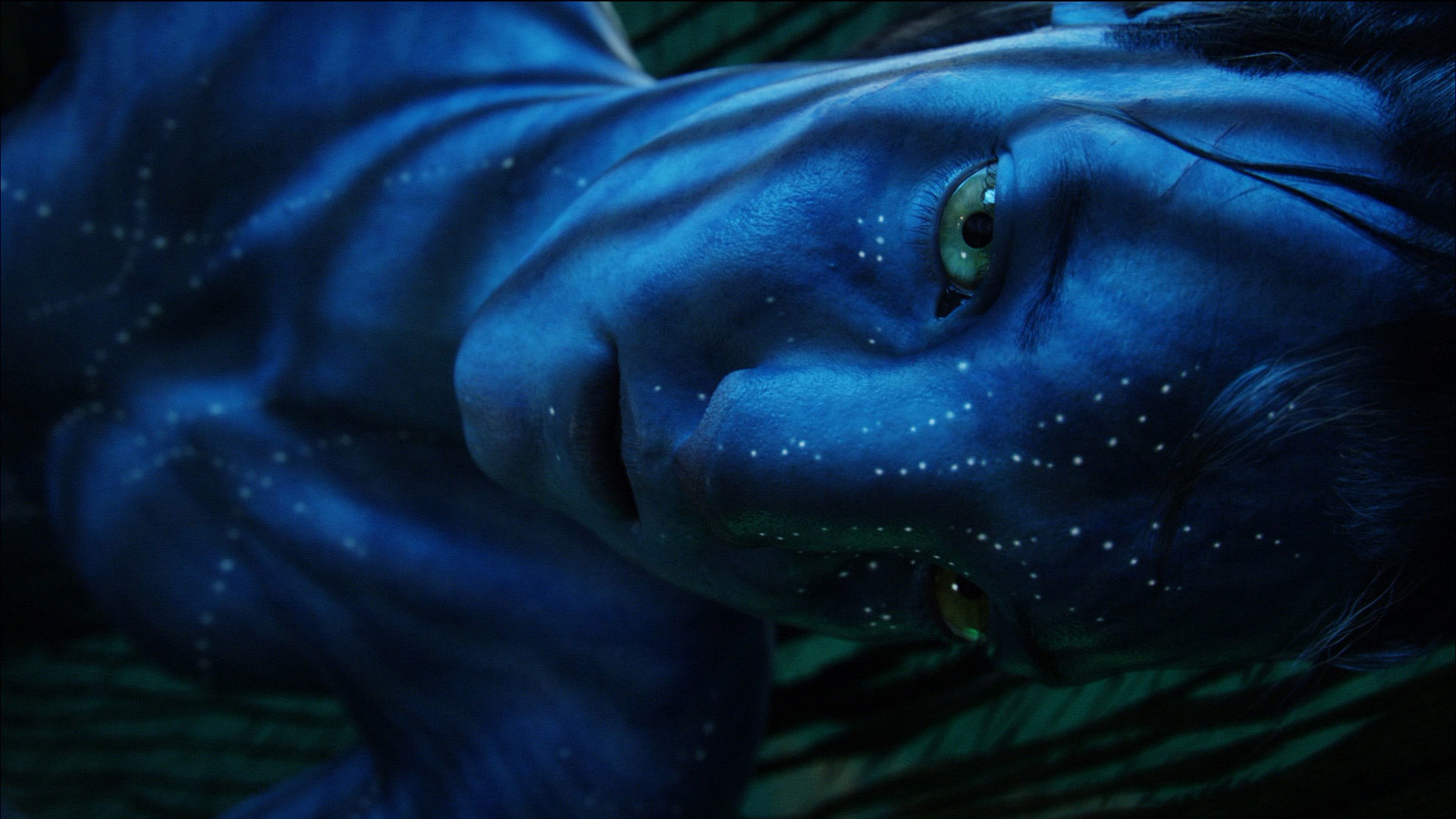 Avatar HD Wallpaper 1080p