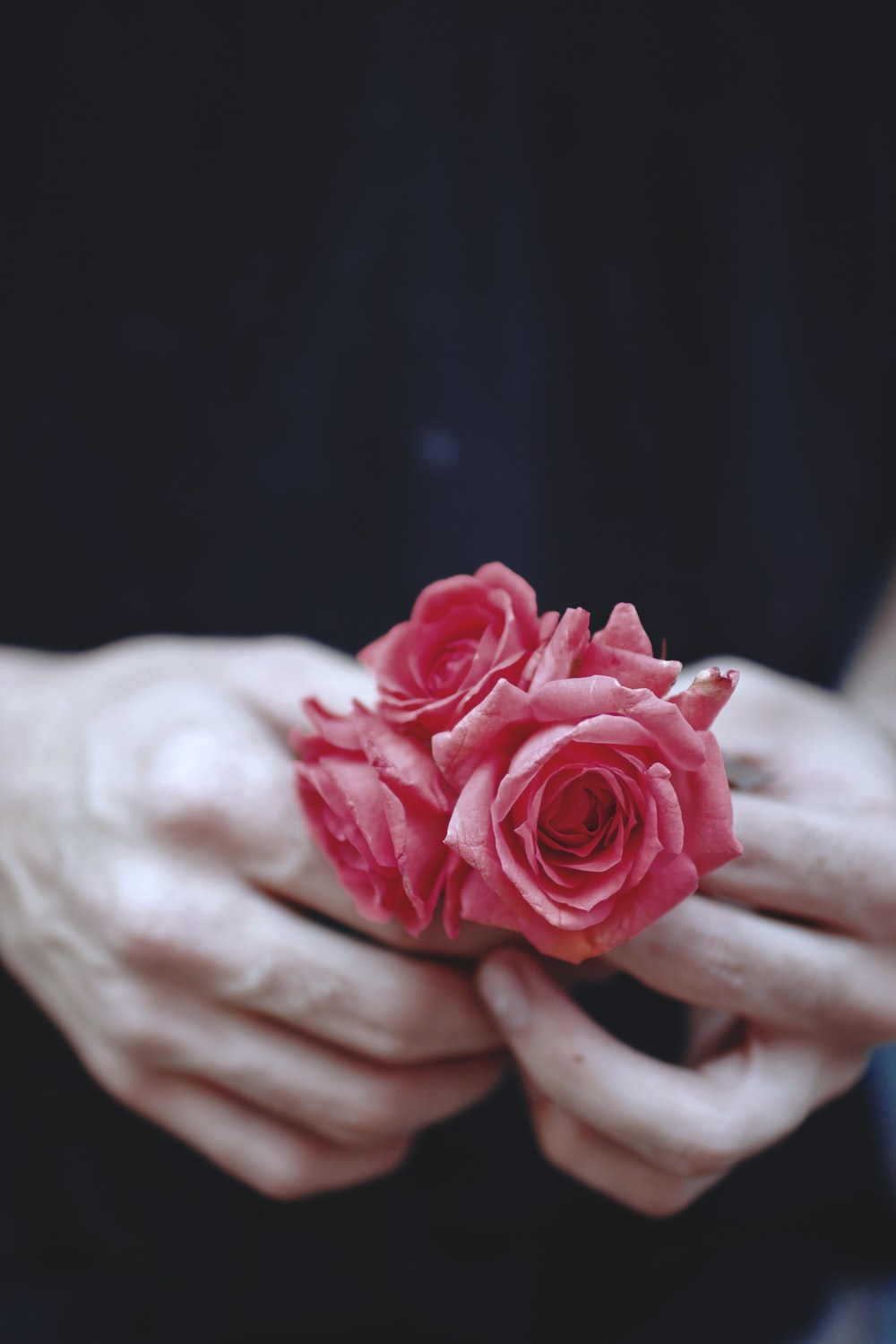 Red Rose Hand Picture. Download Free Image