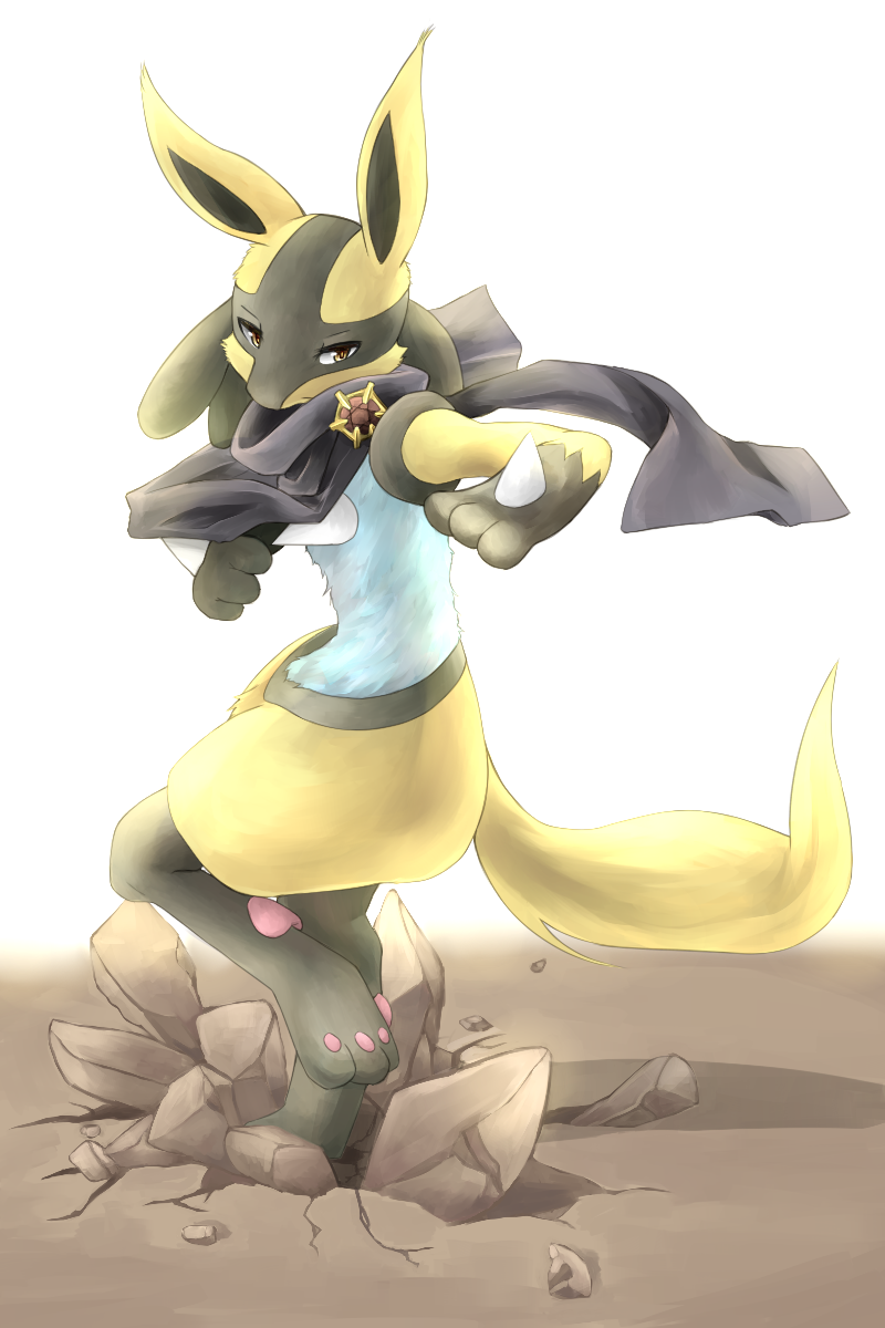 Lucario and Shiny Riolu  Pokemon drawings, Pokemon art, Pokemon