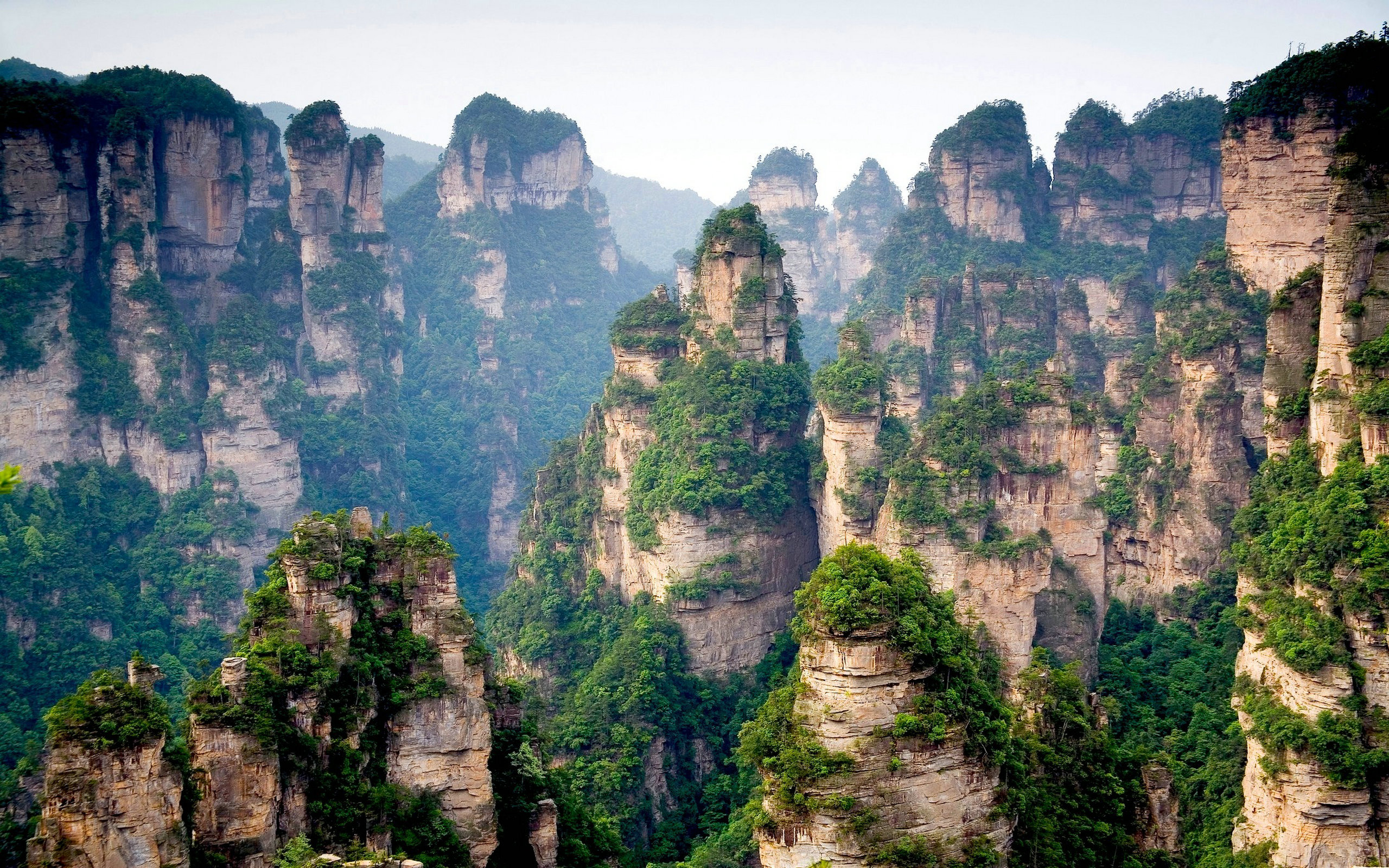 Mountains Of Zhangjiajie China Wallpaper 2560x1600