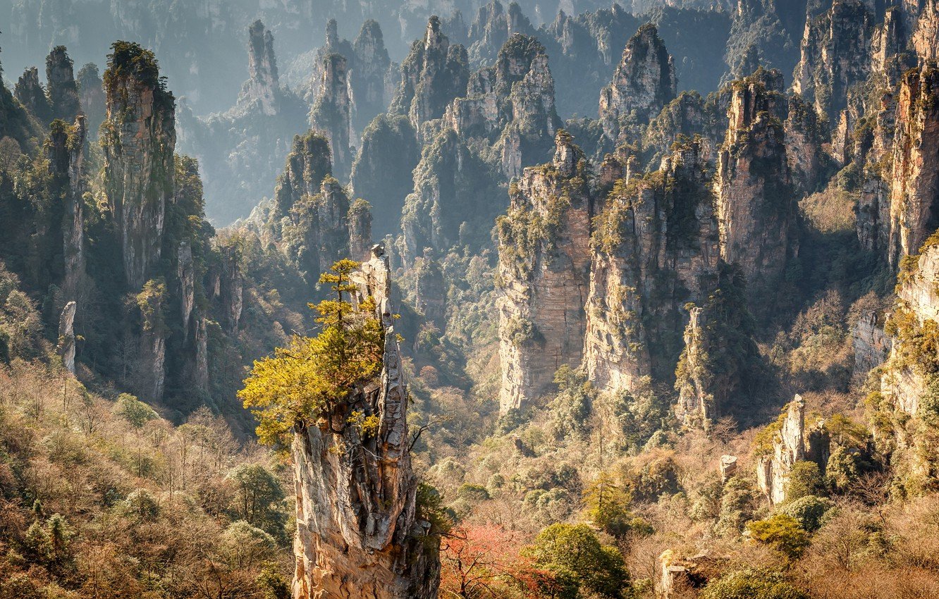 Wallpaper forest, the sun, trees, mountains, stones, rocks, China, the view from the top, Zhangjiajie National Forest Park image for desktop, section пейзажи