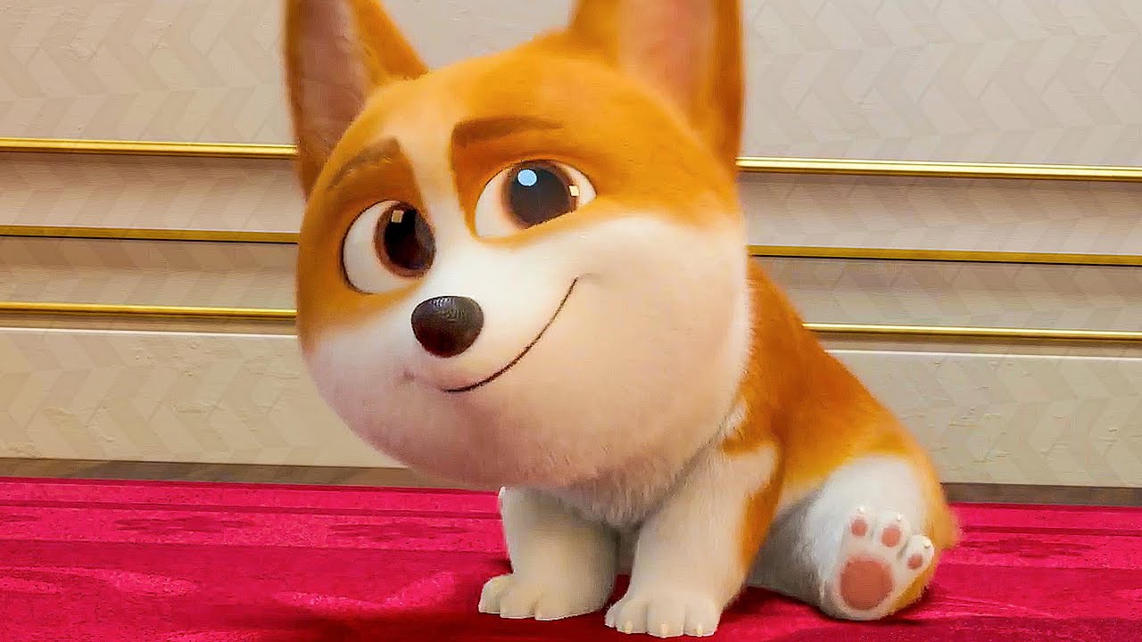 New corgi film leads to rise in popularity of Pembroke Welsh breed