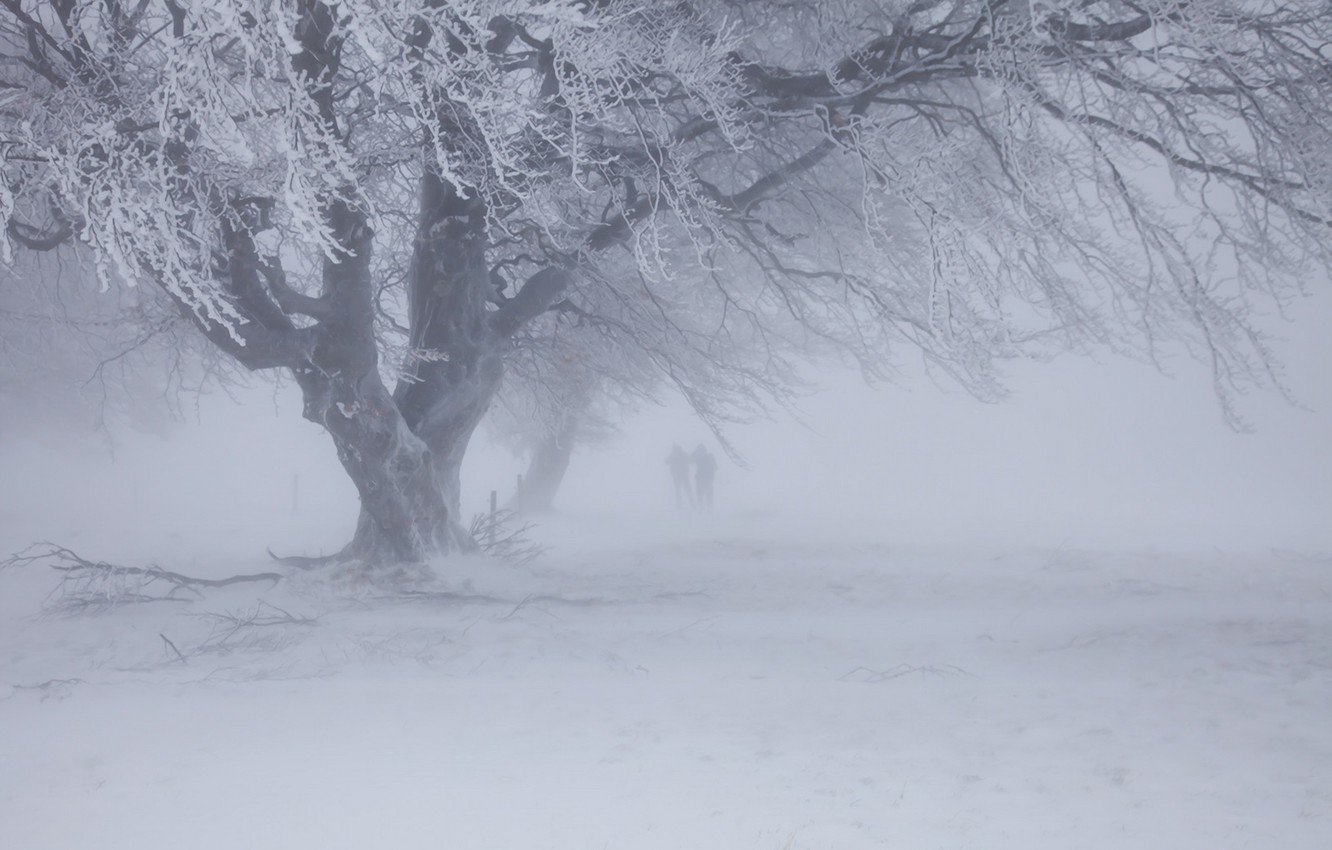 Wallpaper winter, snow, Blizzard image for desktop, section природа