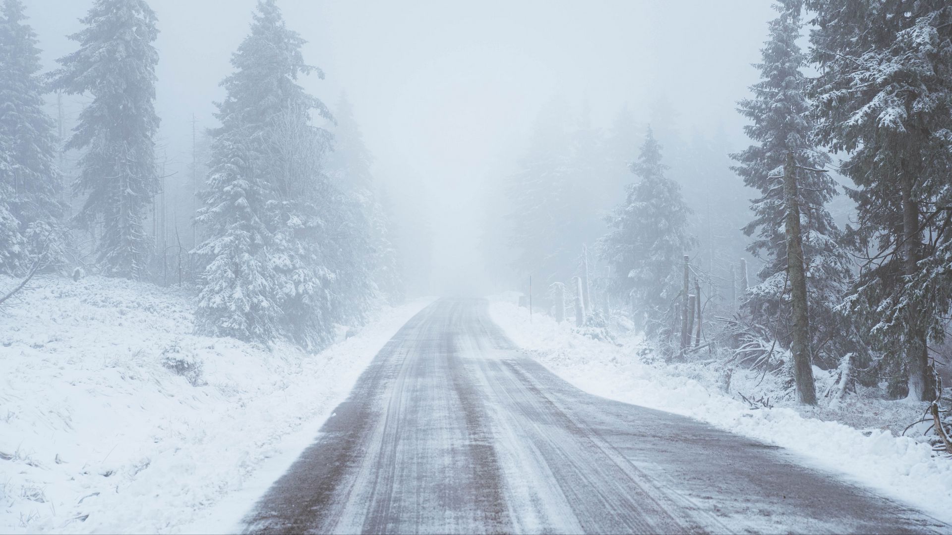 Download wallpaper 1920x1080 road, snow, blizzard, trees, winter full hd, hdtv, fhd, 1080p HD background