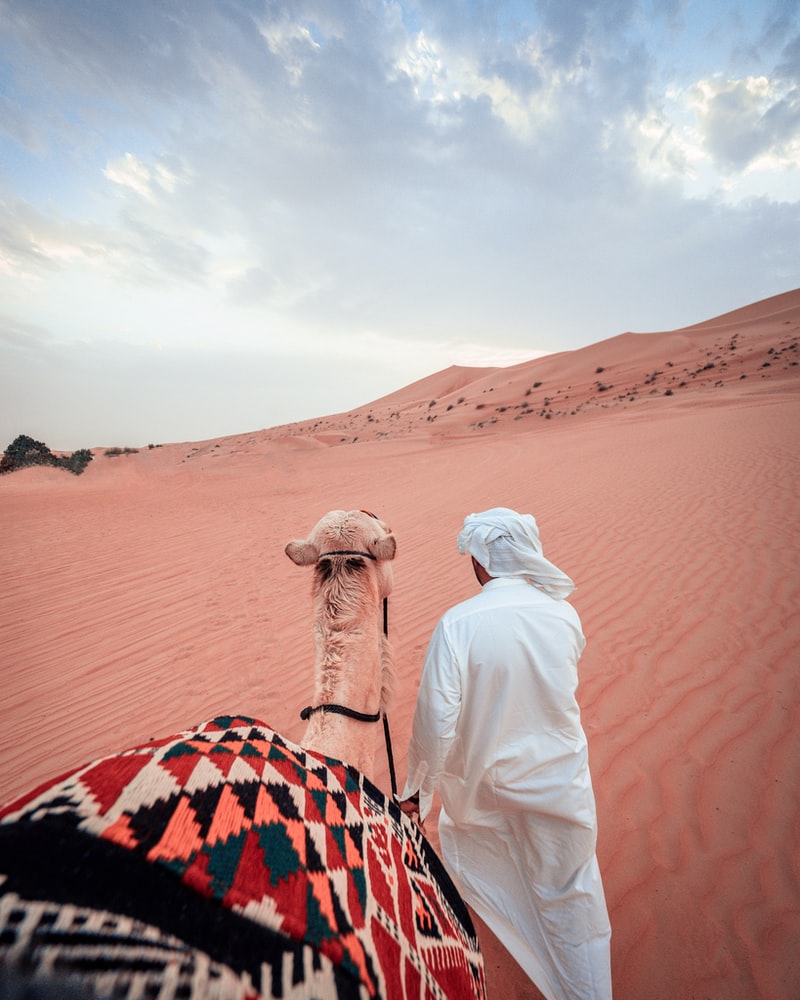 Dubai desert Safari bashing, bbq dinner and local entertainment